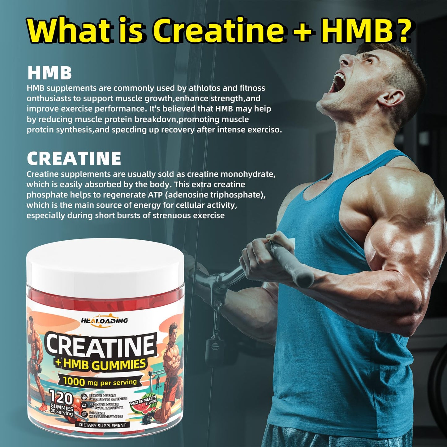 HEALOADING Creatine Monohydrate HMB Gummies, 120 Gummies