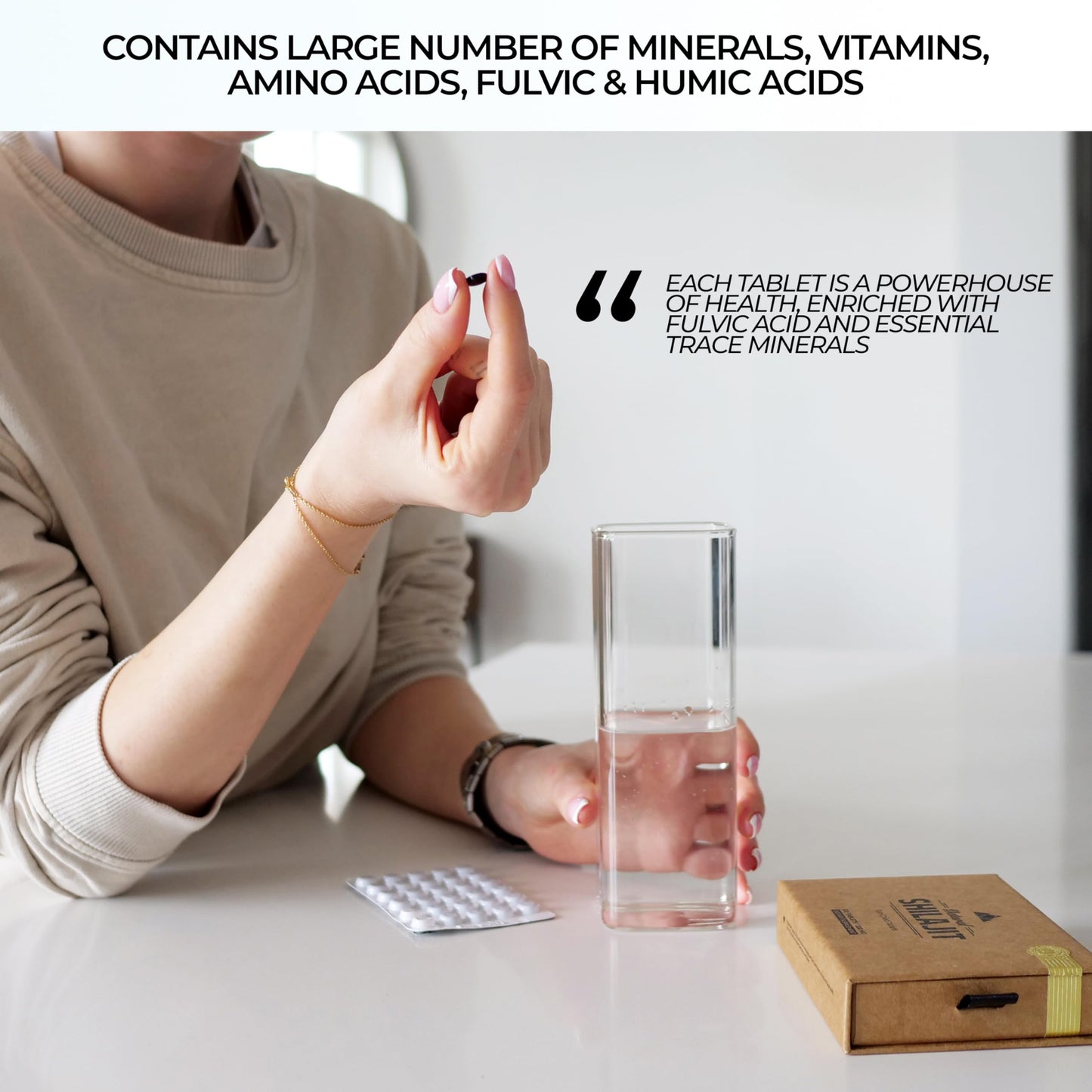 NATURAL SHILAJIT Shilajit Tablets 120 Tablets