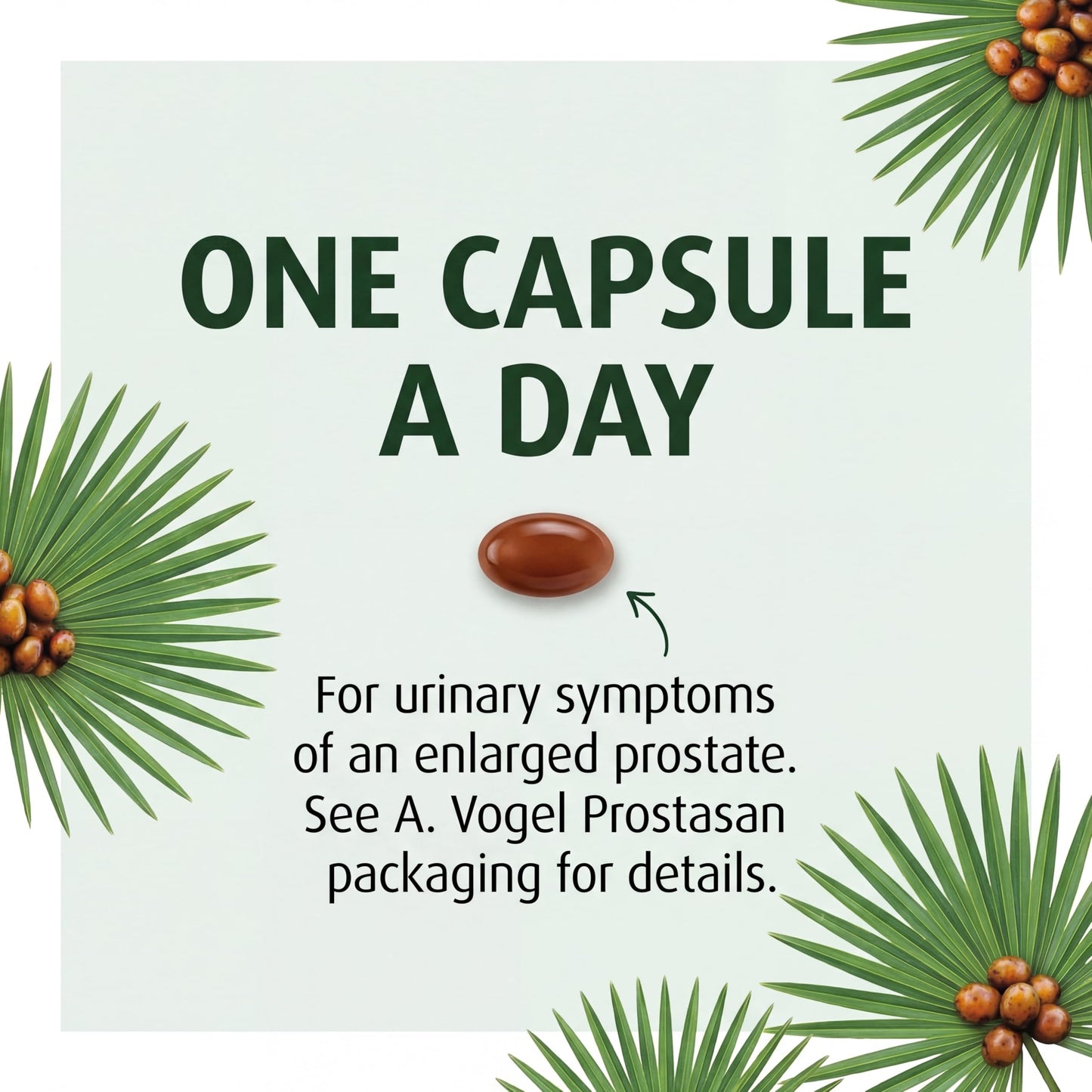 A.Vogel Prostasan Saw Palmetto Capsules, 1 Count