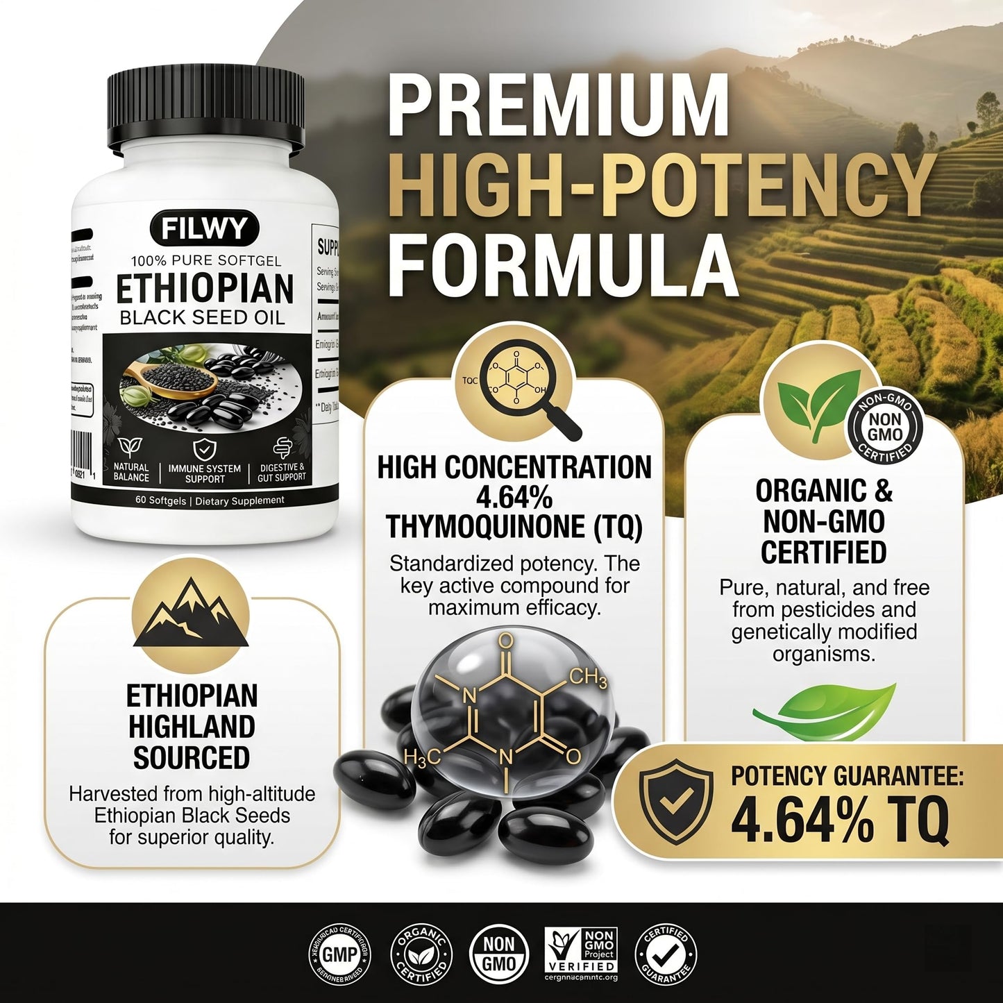 FILWY Ethiopian Black Seed Oil Capsules 60 Capsules