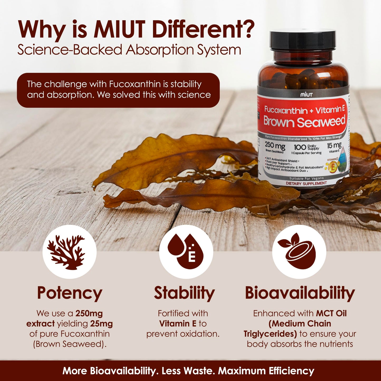 MIUT Fucoxanthin Brown Seaweed Extract Supplement 250mg - 10% Standardized Fucoxanthin with Vitamin E & MCT Oil, Non-GMO, Capsules, 100 Count