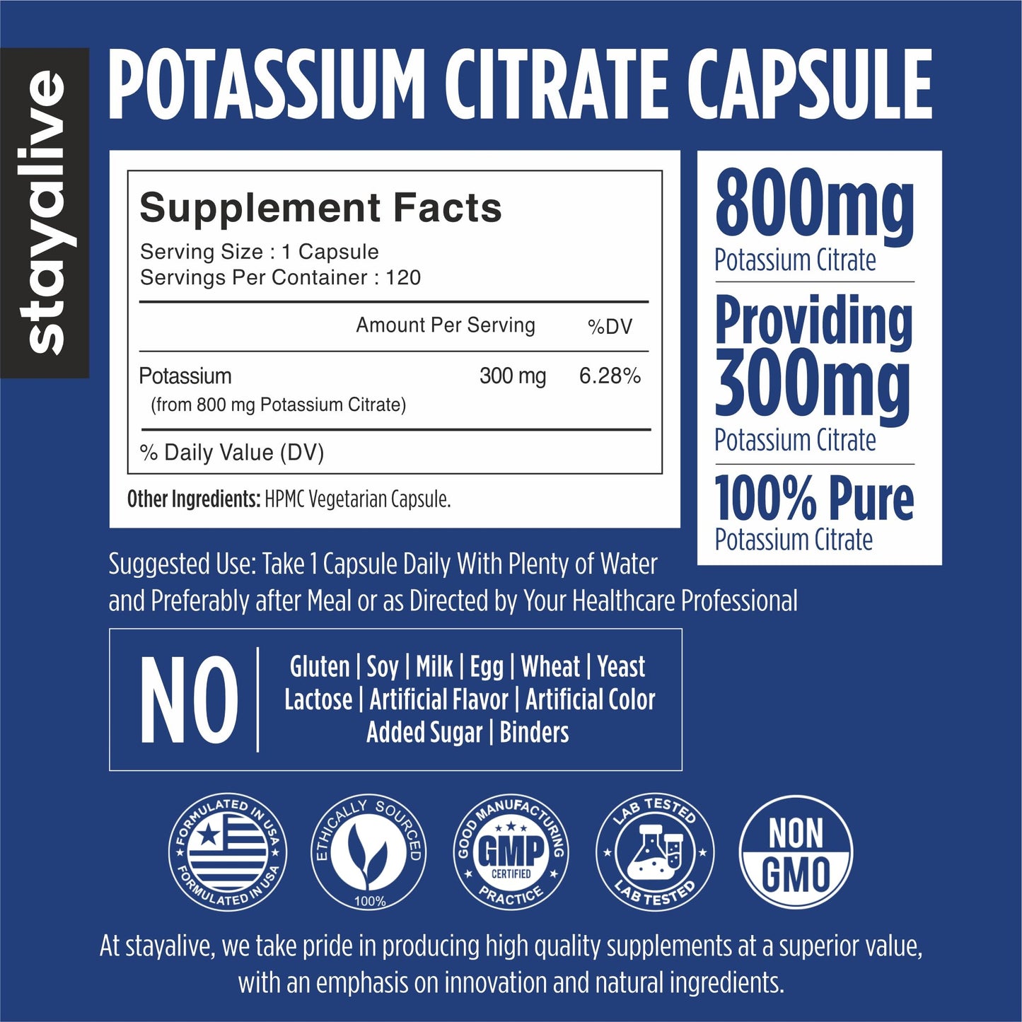 STAY ALIVE Potassium Citrate Supplement Capsule 120 Capsules