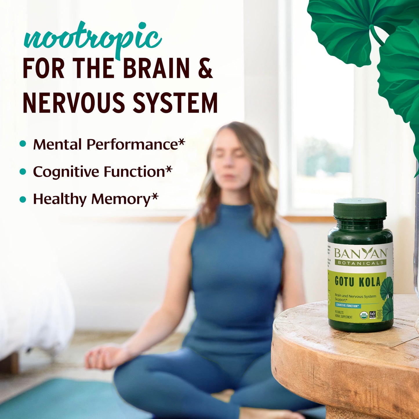Banyan Botanicals Gotu Kola Tablets, 90 Tablets