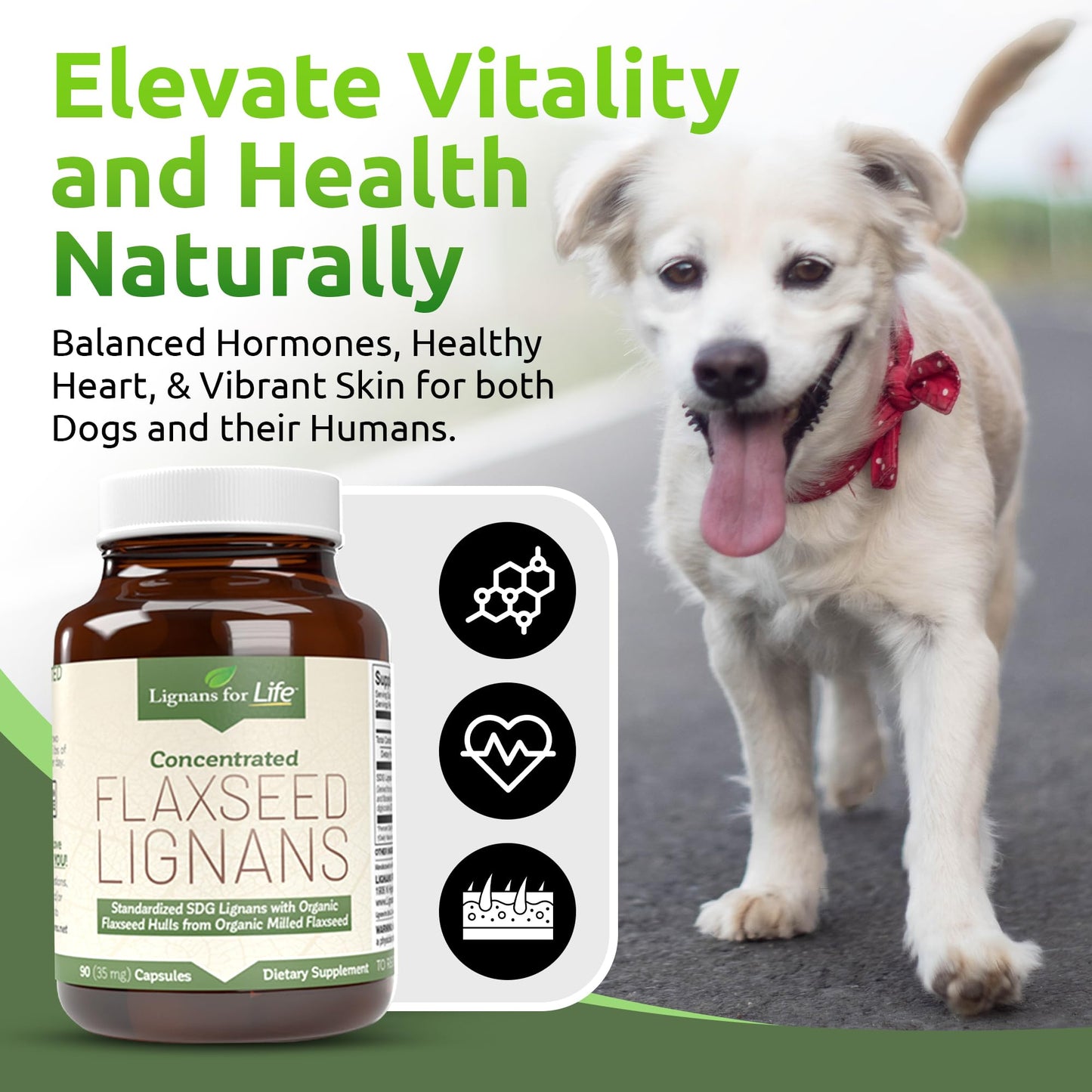 Lignans For Life Flaxseed Lignans for Dogs + SDG Capsules, 35mg, 90 Capsules, 2 Bottles