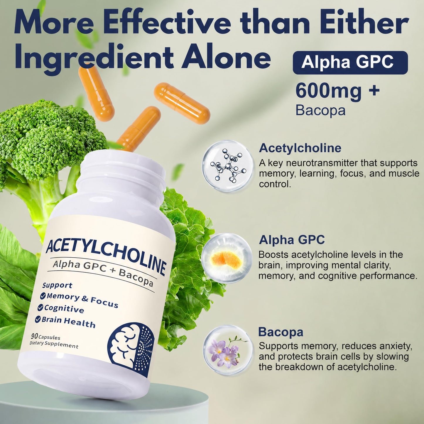 Guanshiya Acetylcholine Supplements with Alpha GPC 600mg & Bacopa, Cognitive Support for Seniors & Adults, 90 Capsules
