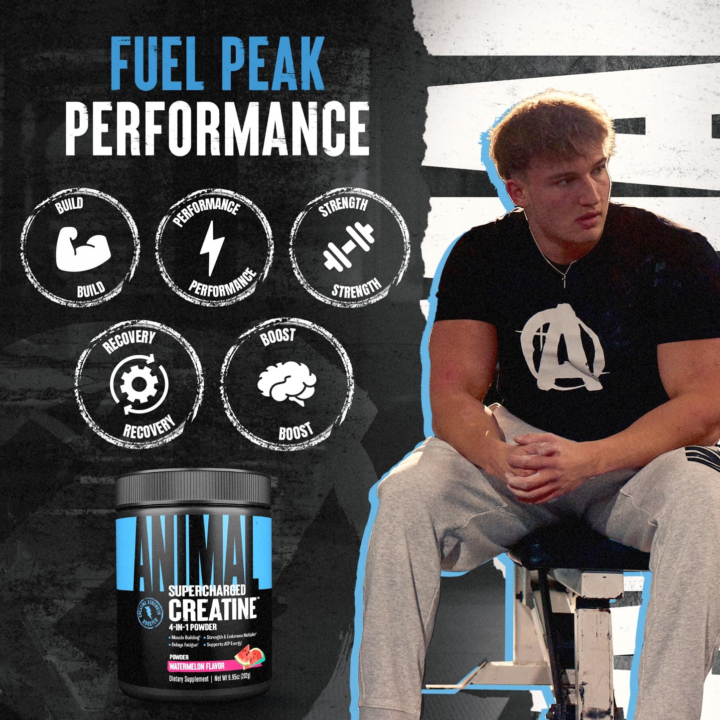 Animal Supercharged Creatine Powder Watermelon 9.95 Ounce