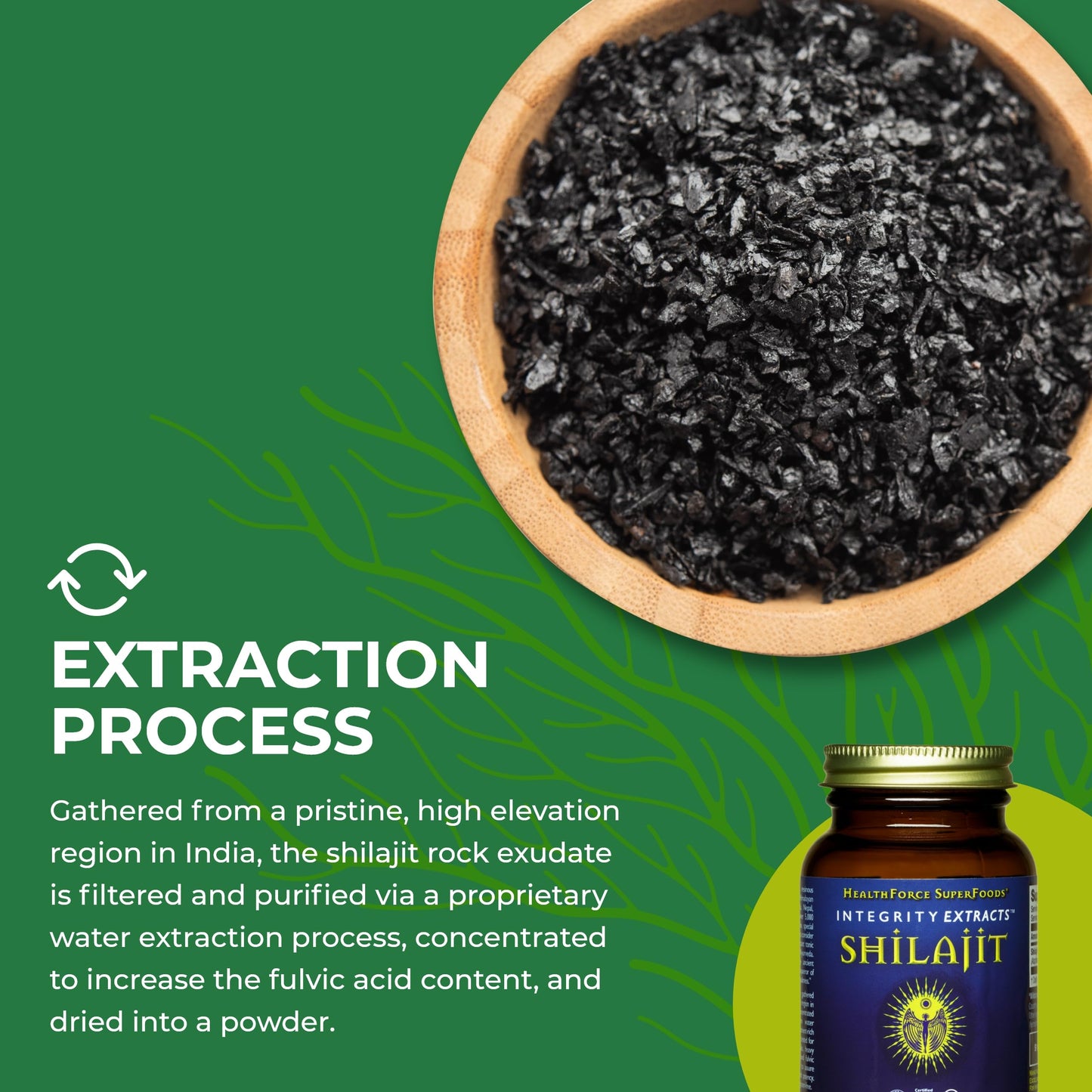 HealthForce SuperFoods Shilajit Capsules 120