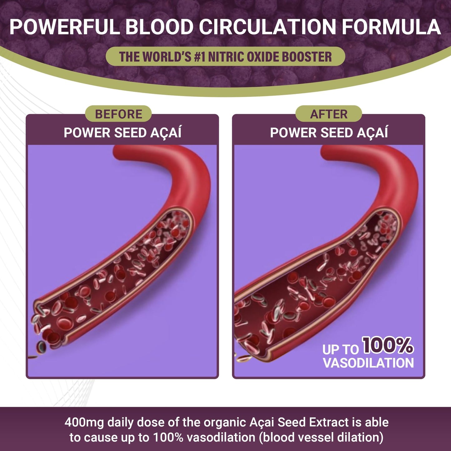 POWER SEEDAÇAÍ Power Seed Acai Nitric Oxide Booster Capsule 60 Count