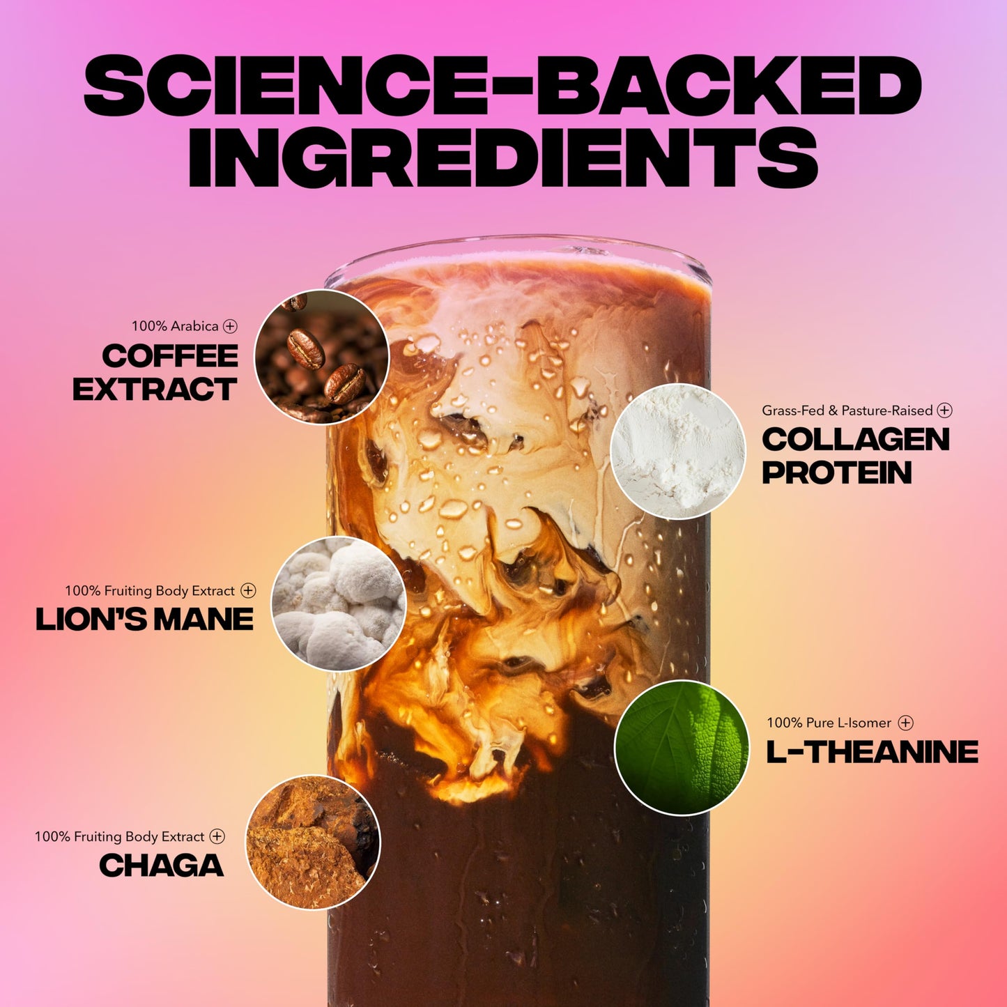 Everyday Dose Premium Adaptogenic Mushroom Coffee with Grass-Fed Collagen, Chaga, Lions Mane & L-Theanine Powder, 7.7 oz
