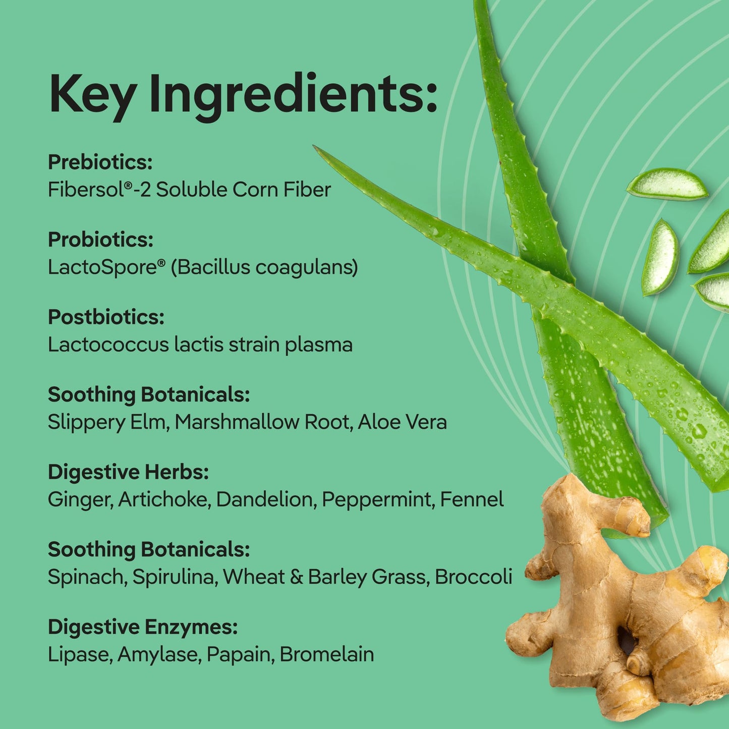 Xtendlife Gut Harmony Greens and Superfood for Digestive Health Powder 9.5 Ounce