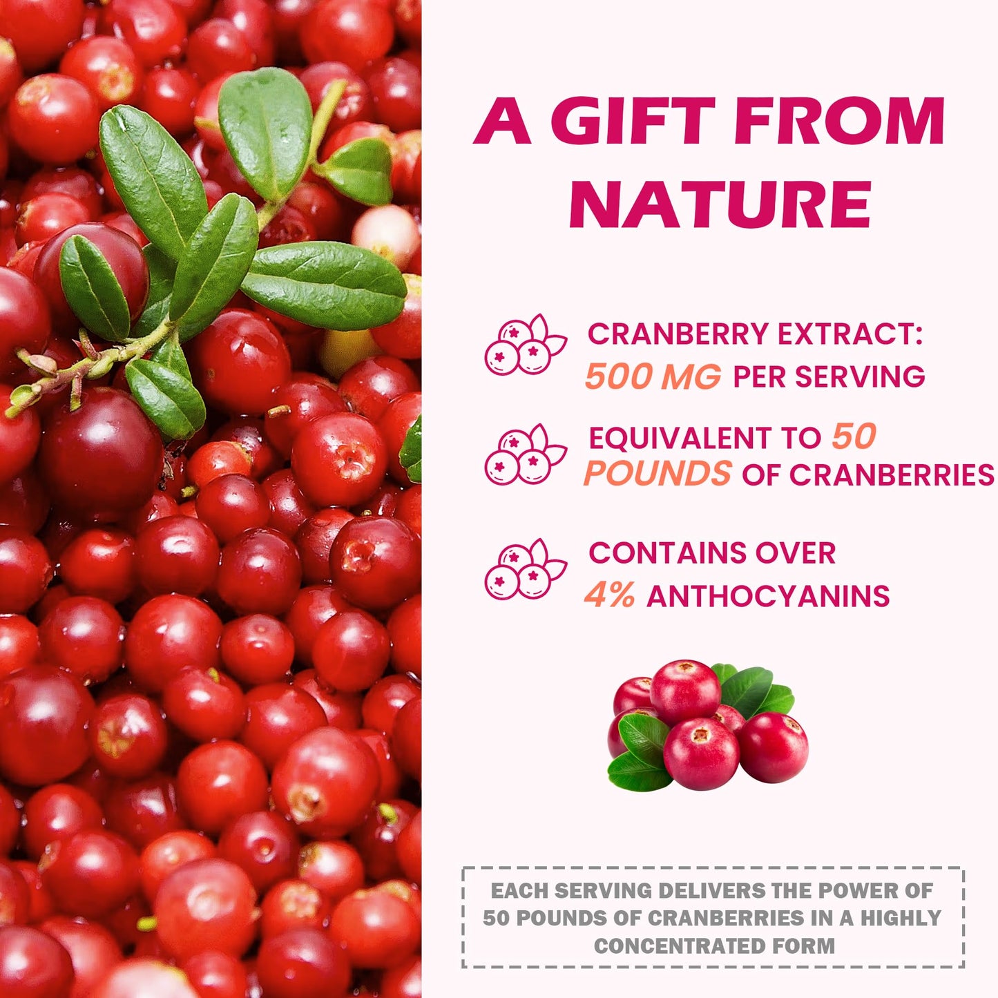Litypure 23-in-1 Kidney Cleanse Detox & Repair with 50:1 Cranberry Extract, 60 Capsules