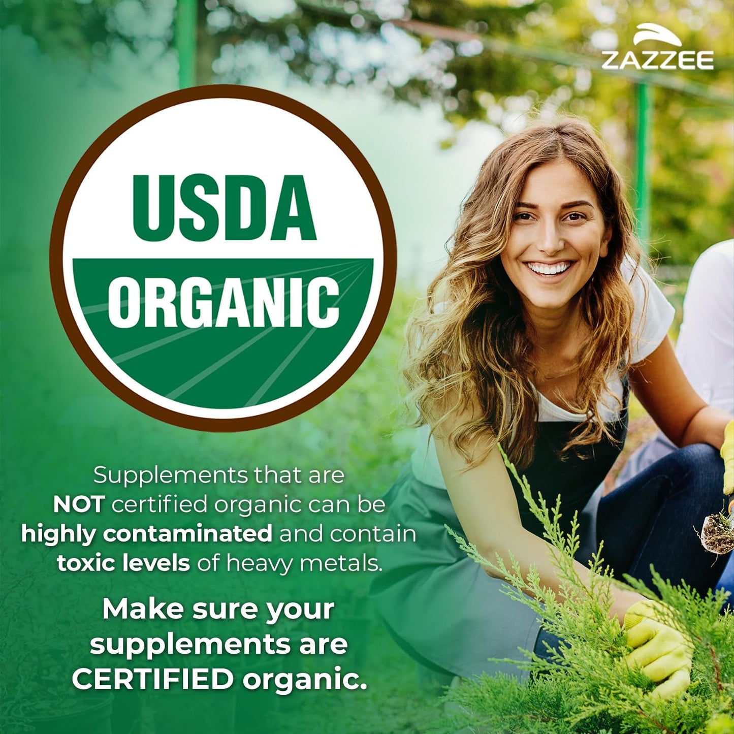 Zazzee USDA Organic Gut Health Support Bundle 20:1 Licorice Root & 20:1 Ginger Root Capsules 220 Capsules