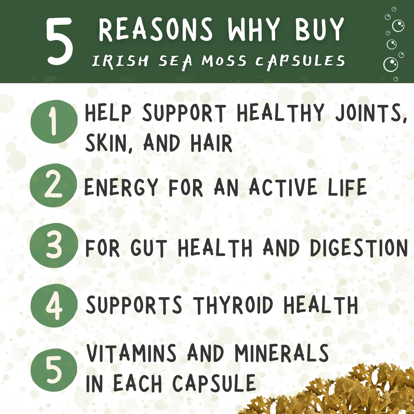 Healblend Organic Sea Moss, Bladderwrack, Burdock, & BioPerine - 1405mg with Black Pepper - Natural Wellness and Detox Support Supplement, 60 Capsules