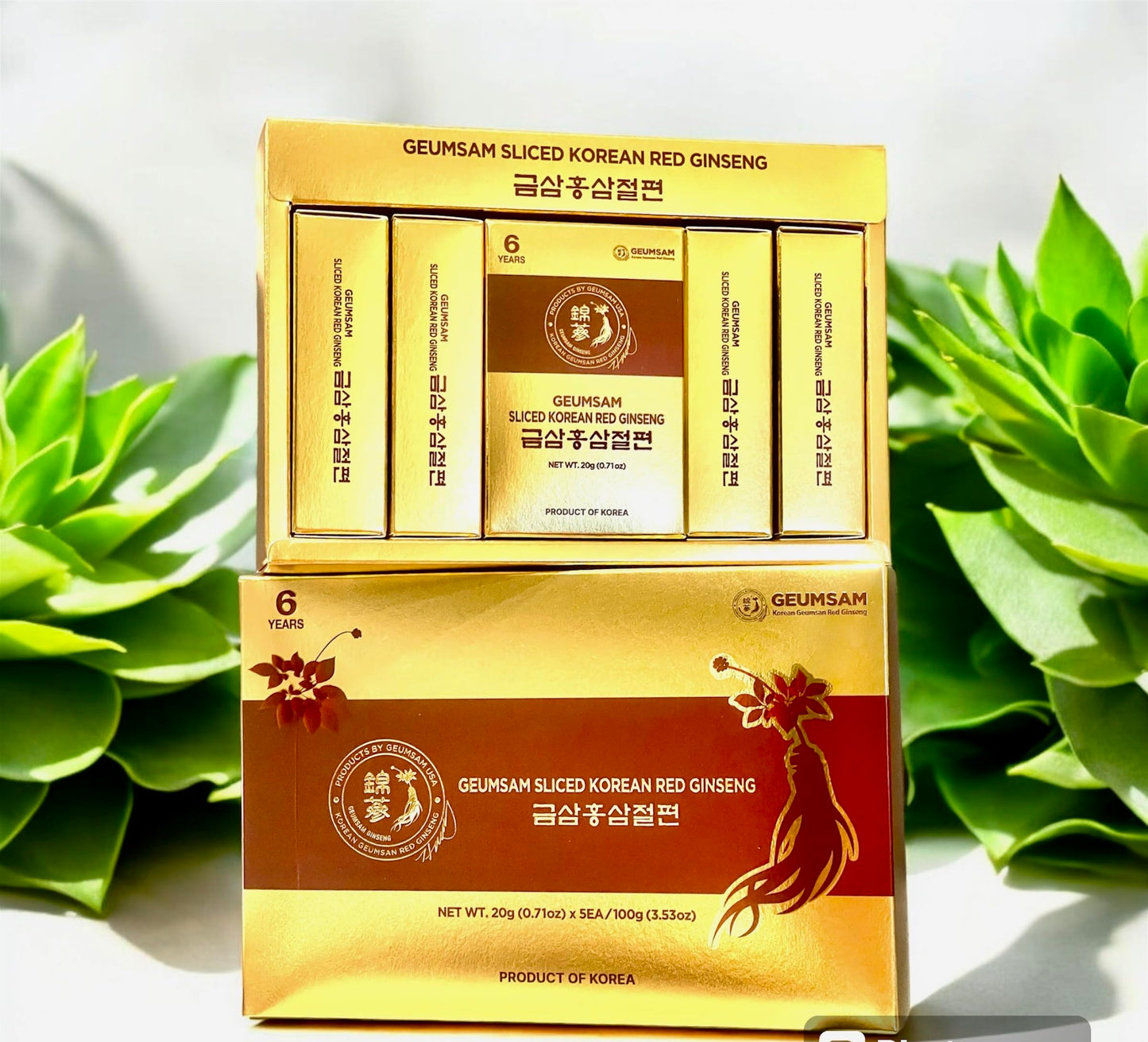 Generic Red Ginseng and Black Ginseng Capsules, Pack of 2