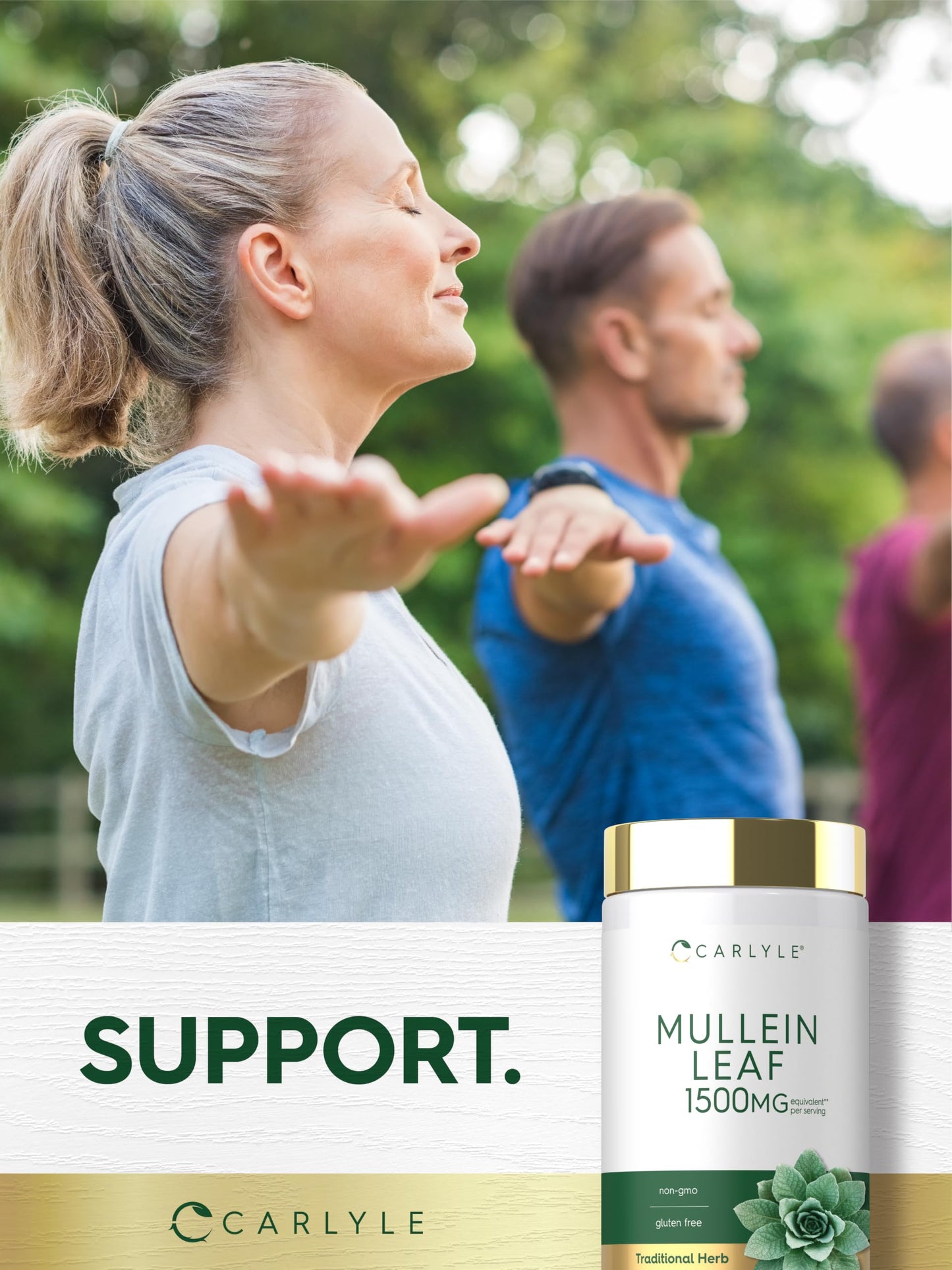 Carlyle Mullein Leaf Extract, 200 Capsules