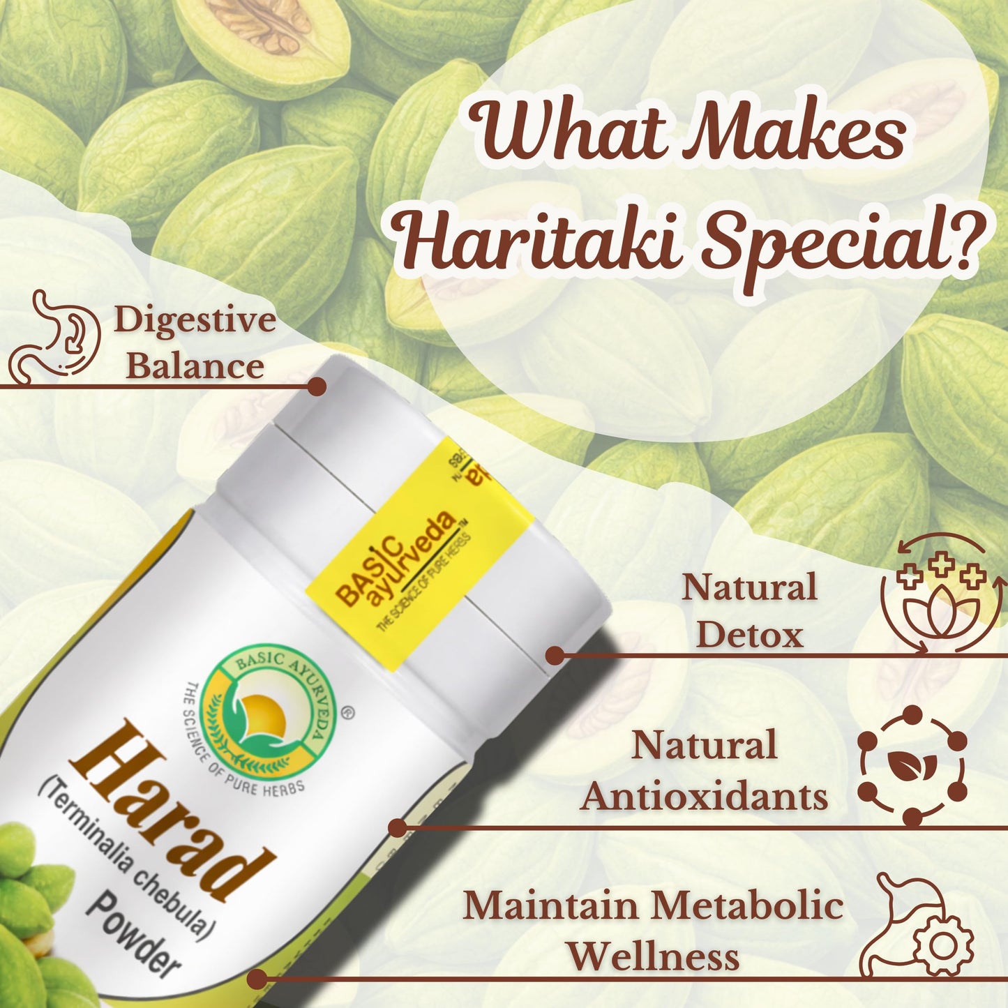 BASIC AYURVEDA Haritaki Powder 3.53 oz