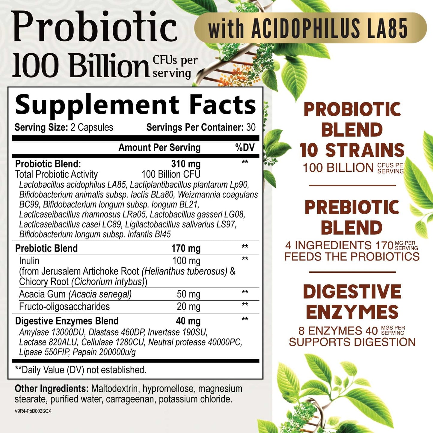 Nature's Nutrition Premium Probiotics Capsule 60 Count