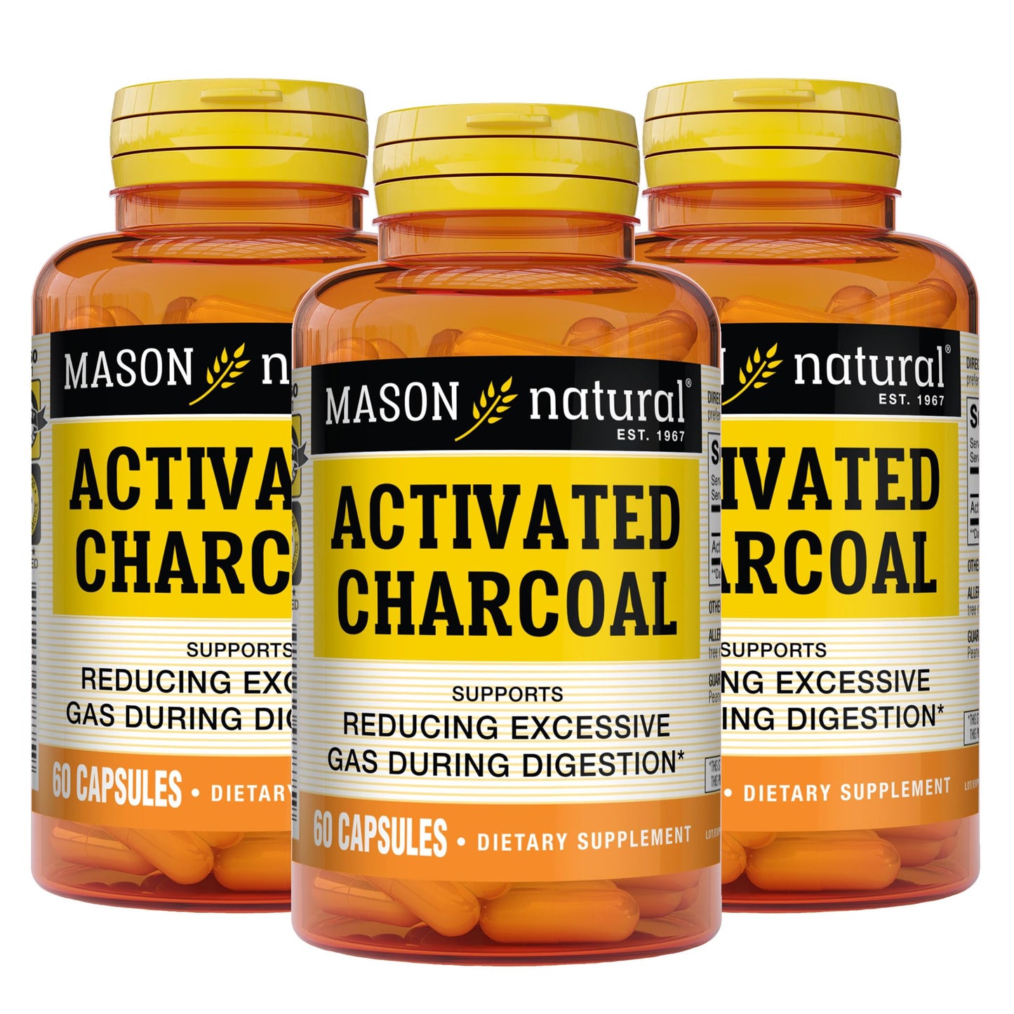 MASON NATURAL Activated Charcoal Capsule 180