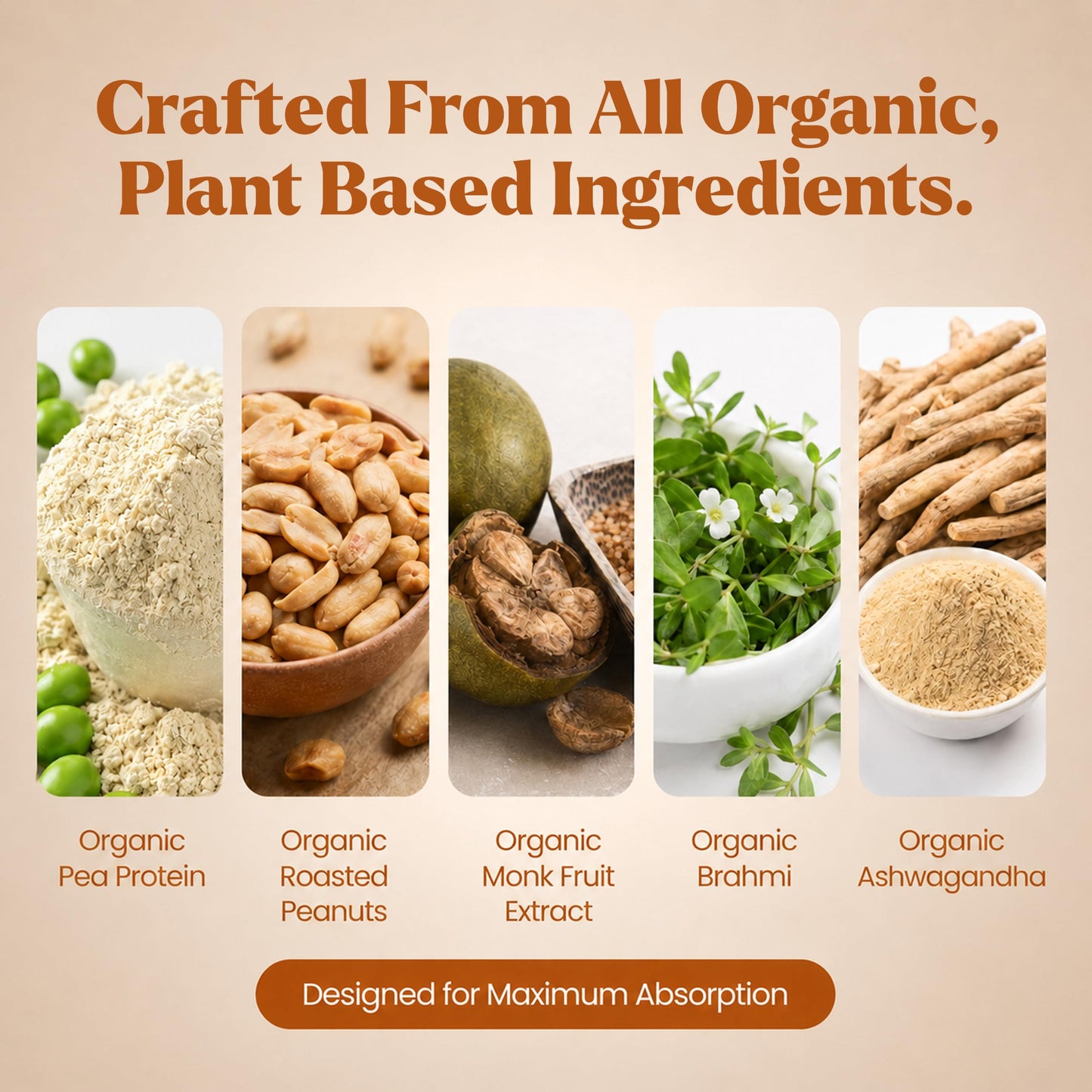 Elements Peanut Butter Plant Protein Powder, 20 Servings