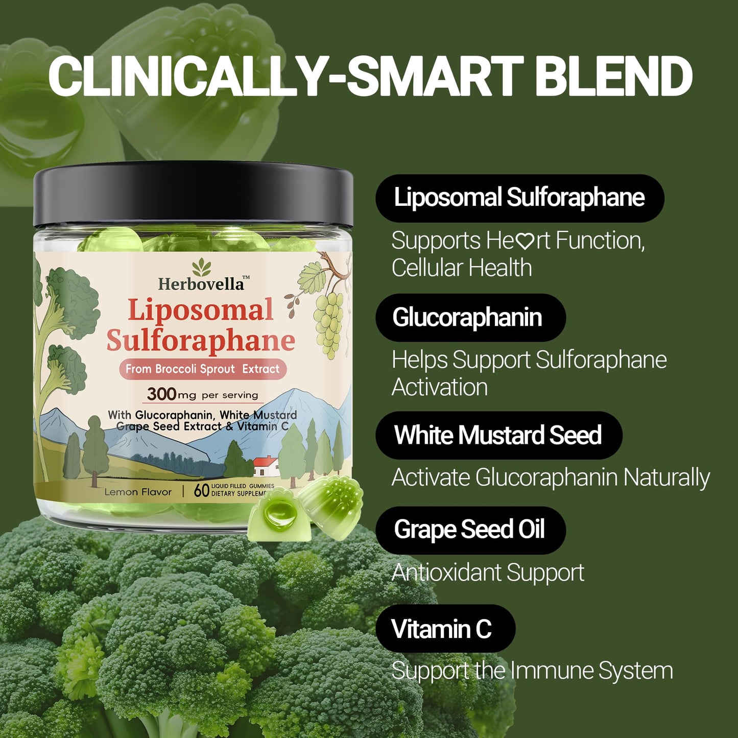 Herbovella Broccoli Sprout Liposomal Sulforaphane Gummies, 60 Count