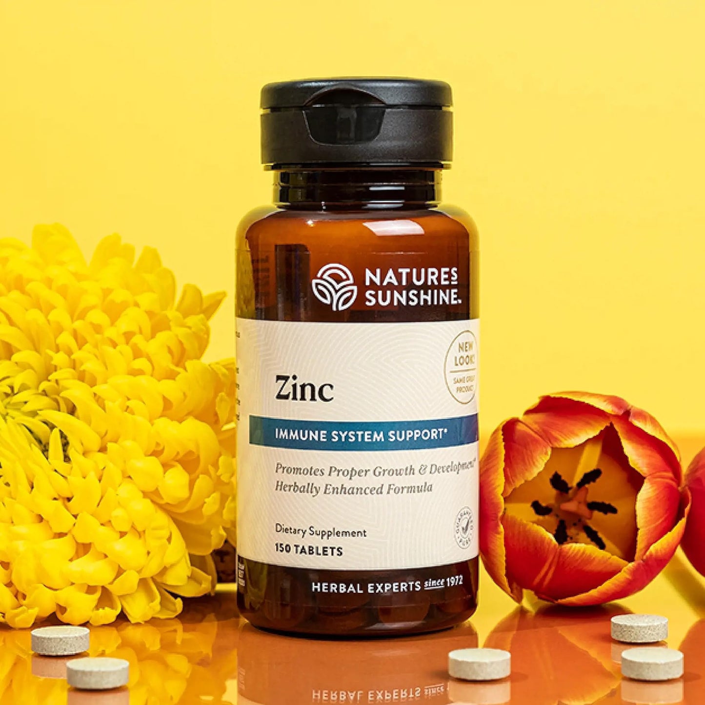 Nature's Sunshine Zinc 25mg Tablets, 150 Count