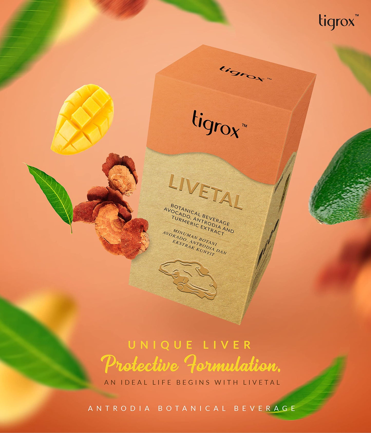 WELLOUS Tigrox Livetal Antrodia Cinnamomea Botanical Beverage Powder, 1 oz