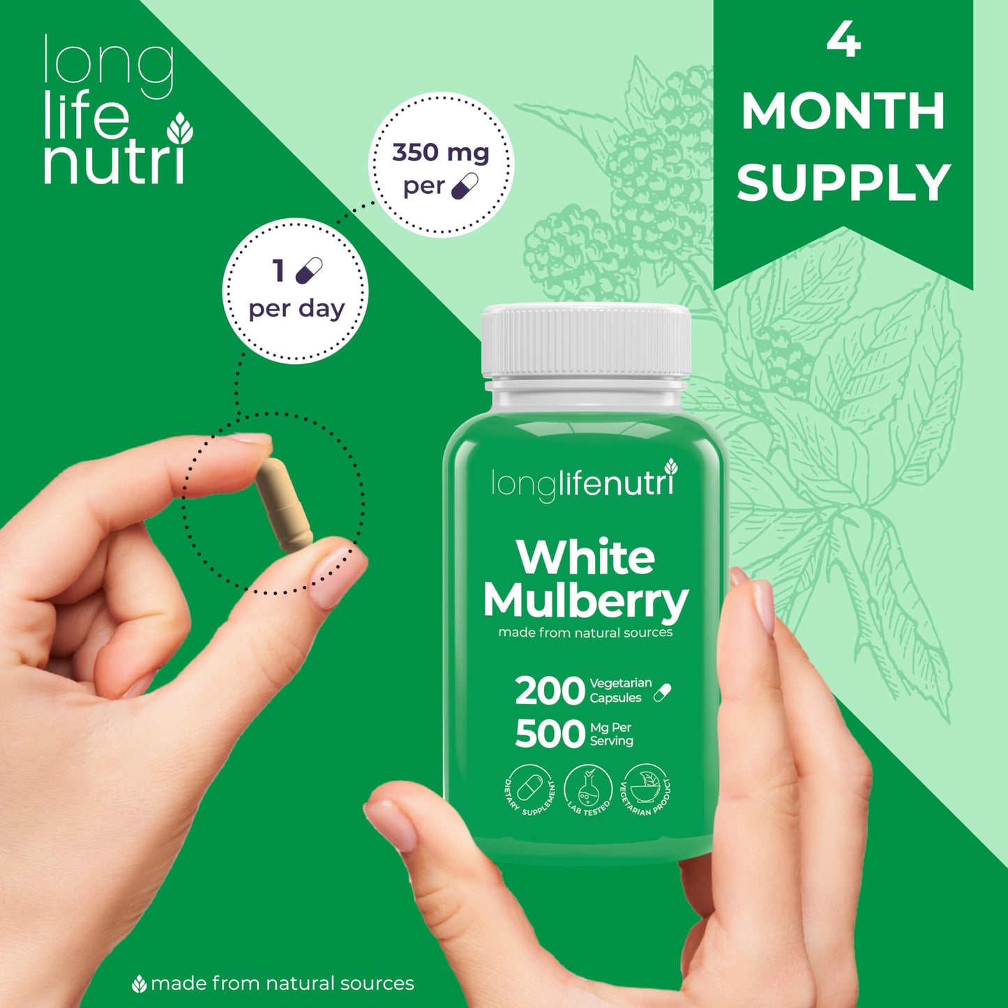 LongLifeNutri White Mulberry Leaf Extract 500mg Capsule, 200 Count