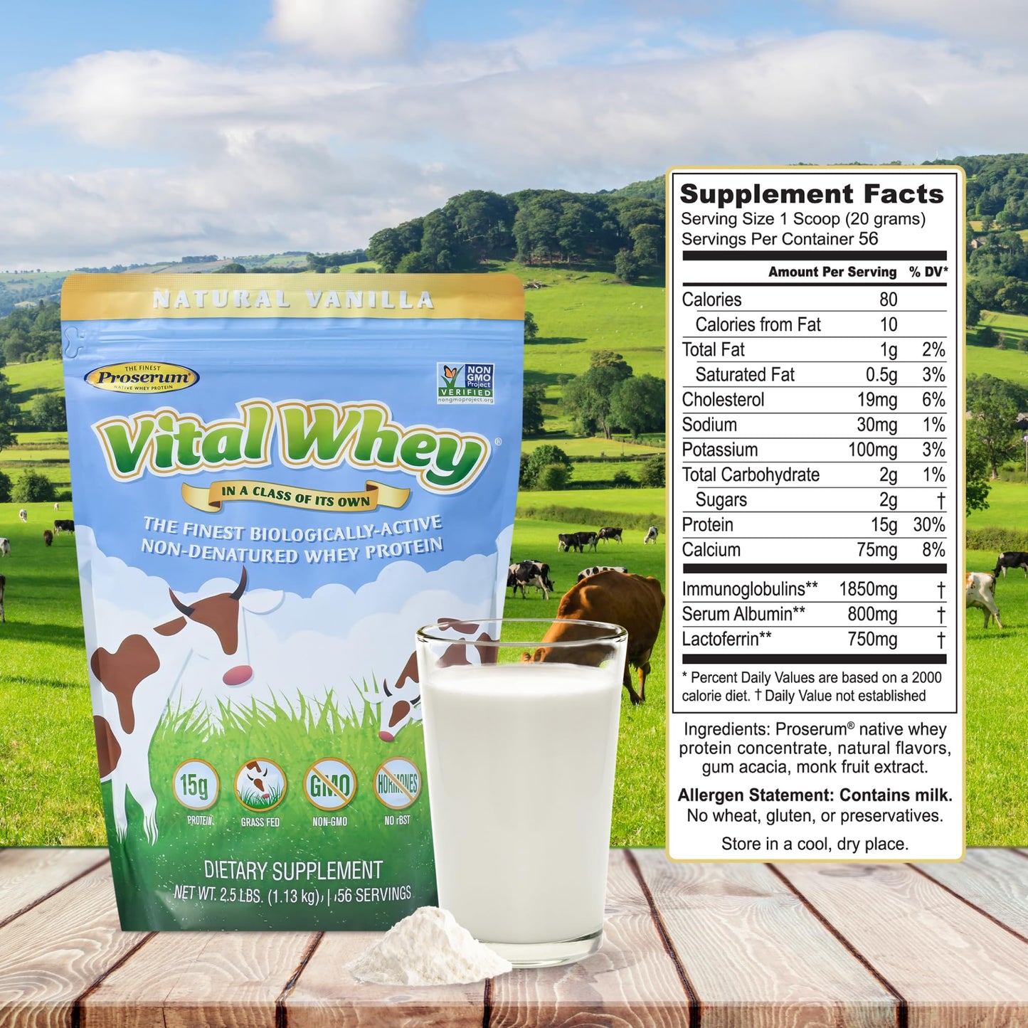 Well Wisdom Proteins Vanilla Grass-Fed Whey Protein Powder, 40 Servings