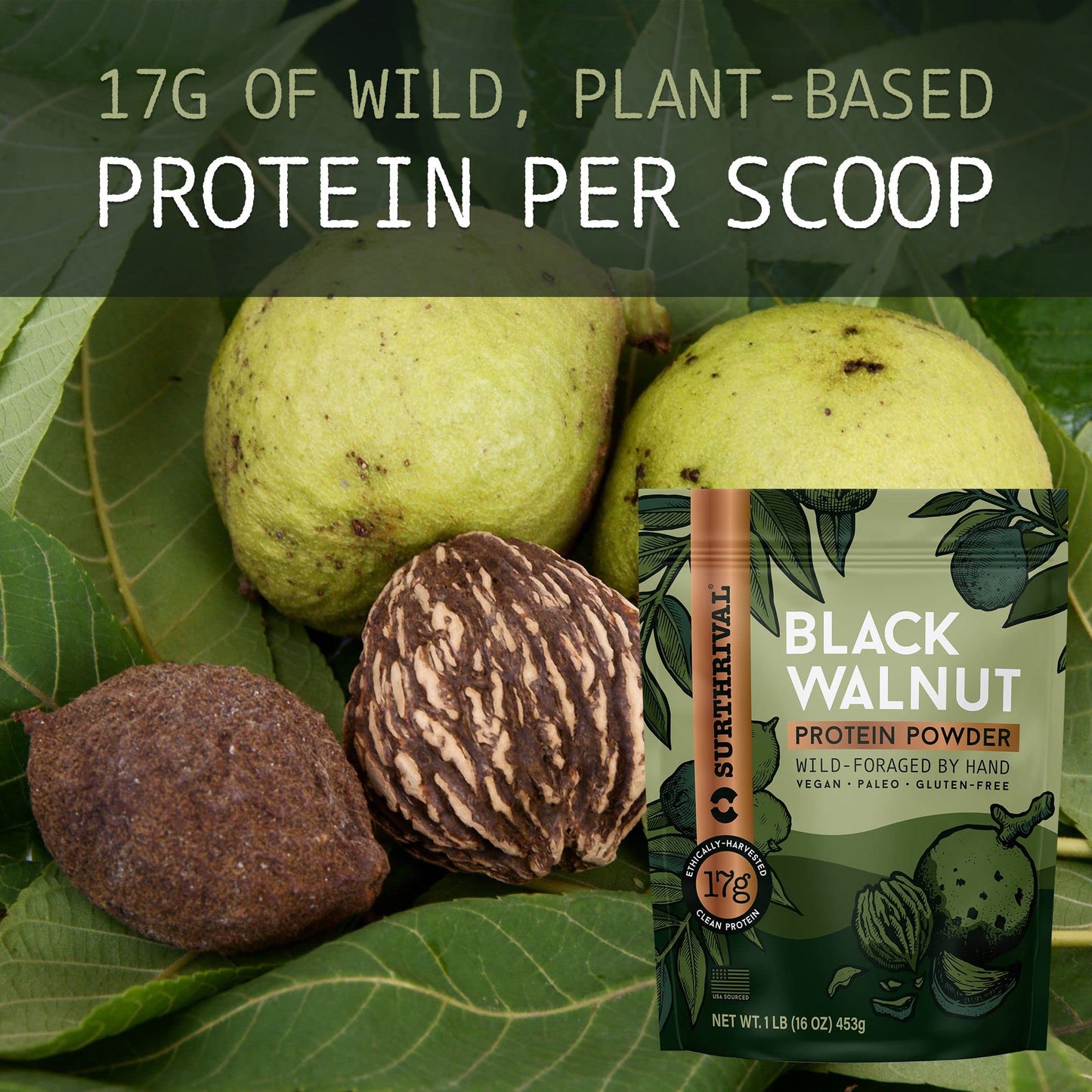 Surthrival Black Walnut Protein Powder, 16 Servings