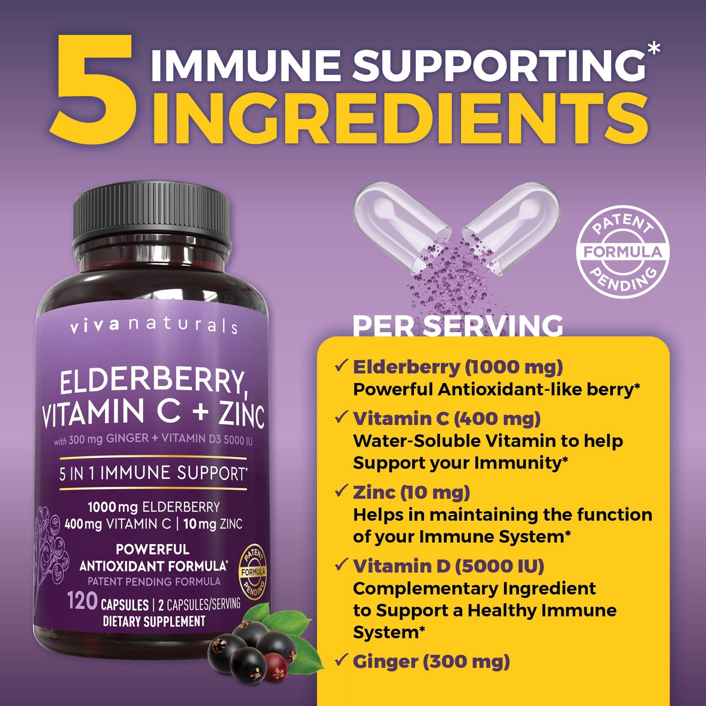 Viva Naturals Elderberry with Vitamin C and Zinc for Adults - 5 in 1 Sambucus Black Elderberry Capsules with Vitamin D3 5000 IU Immunity Supplement, Sambucus Elderberry Immune Support 120 Capsules