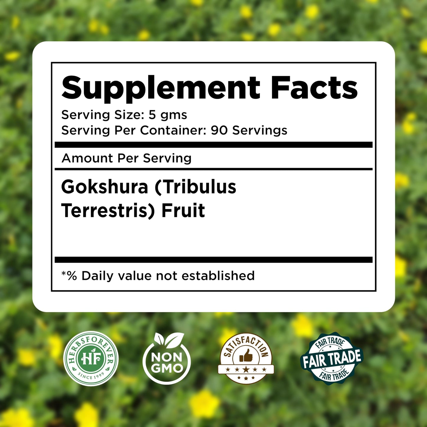 Herbsforever Gokshura (Tribulus Terrestris) Powder 16 oz