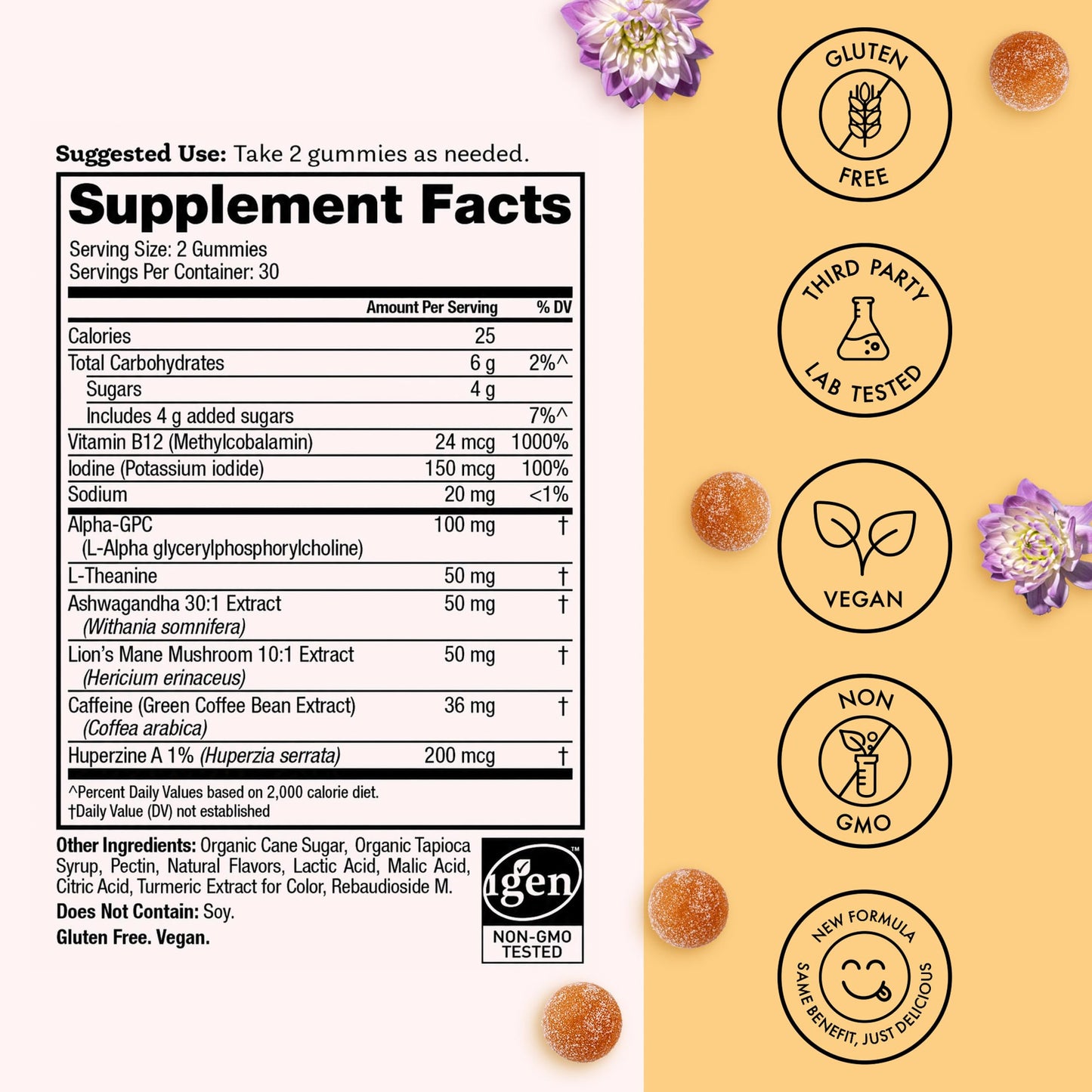 Winged Wellness Rise Up Energy & Focus Gummies for Women – Daily Brain Boost Gummy Supplement with Natural Caffeine, Ashwagandha, B12, Nootropics Alpha-GPC & Lion’s Mane – Pineapple, 60 Gummies
