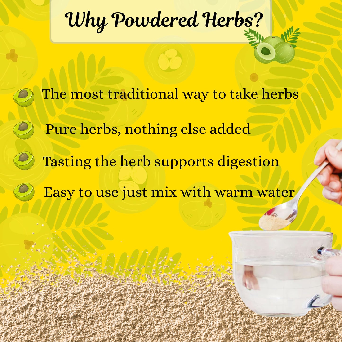 BASIC AYURVEDA Amla Powder, 7.05 oz