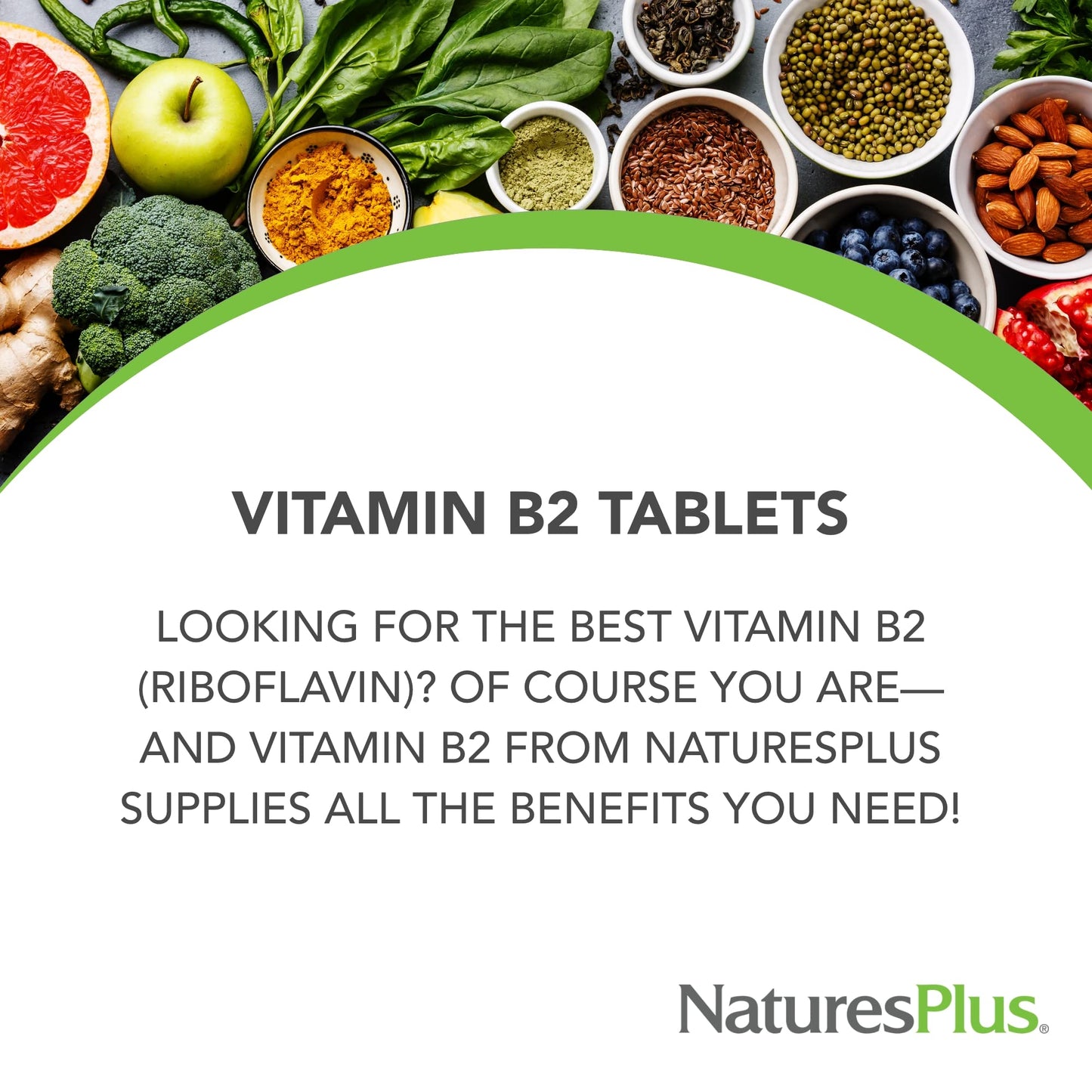 NaturesPlus Vitamin B2 250 mg Sustained Release Tablets, 60 Count
