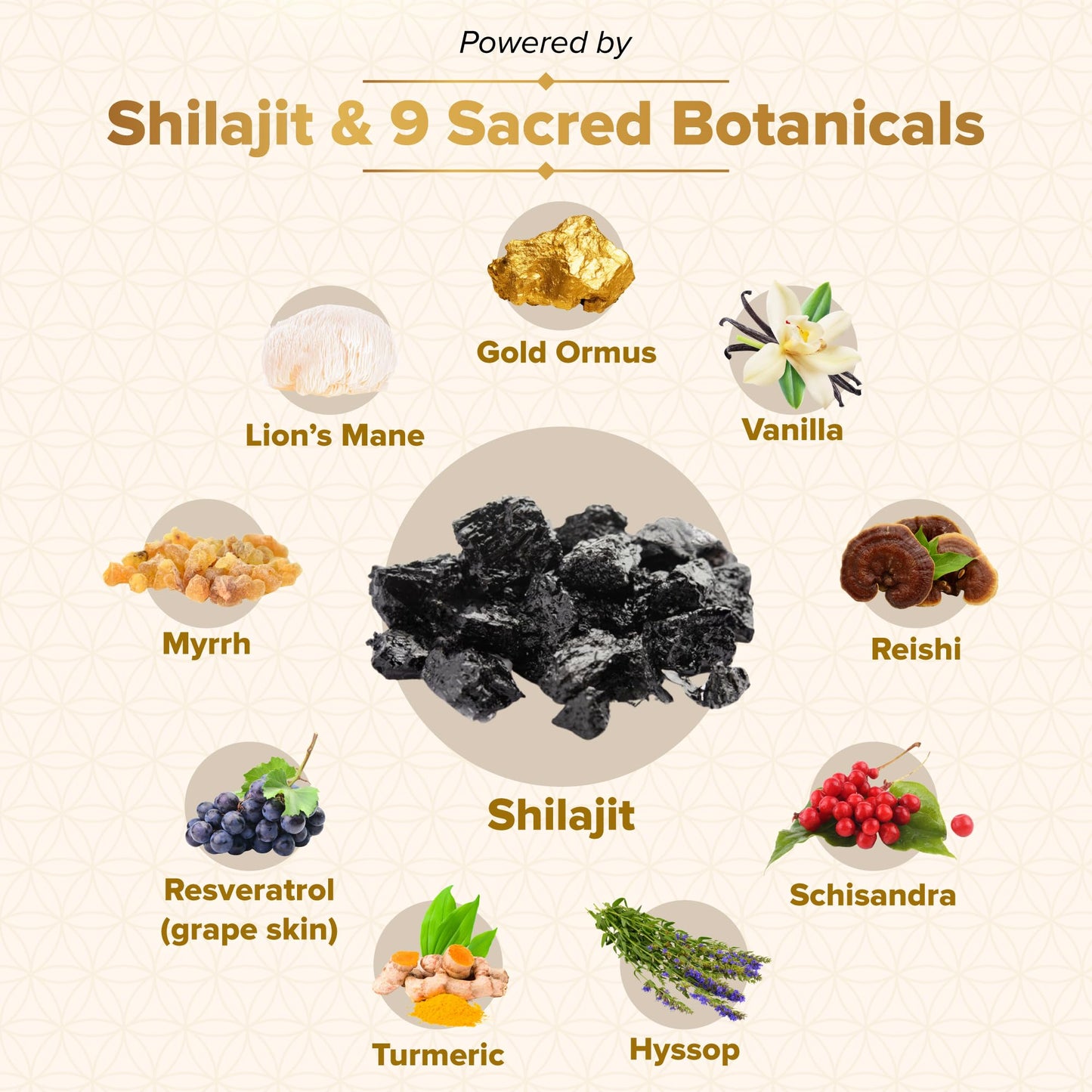 Nutraville Genesis Revival – Shilajit, Lion’s Mane & 8 Sacred Botanicals, 60 Capsules