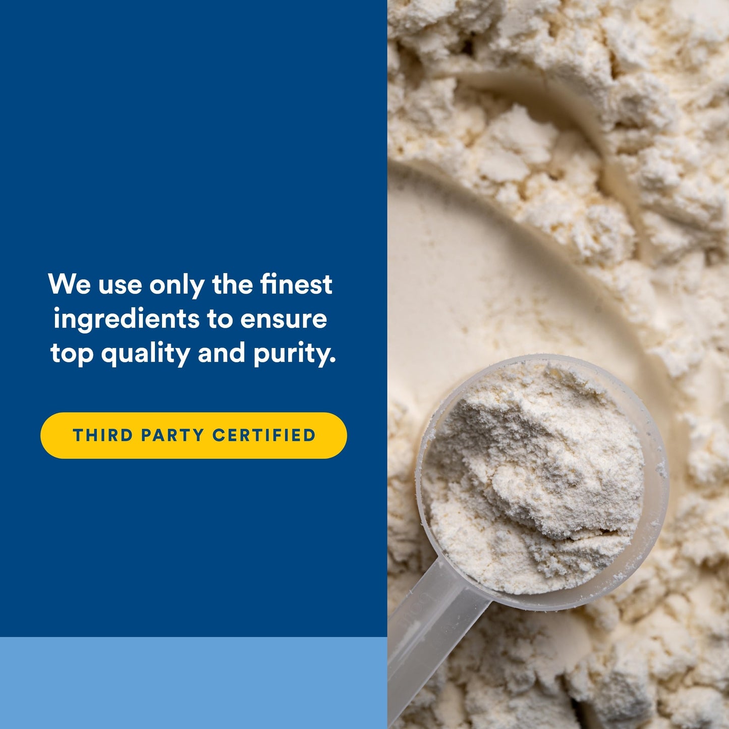 Natural Factors Whey Factors Whey Protein Powder, French Vanilla, 2 lb