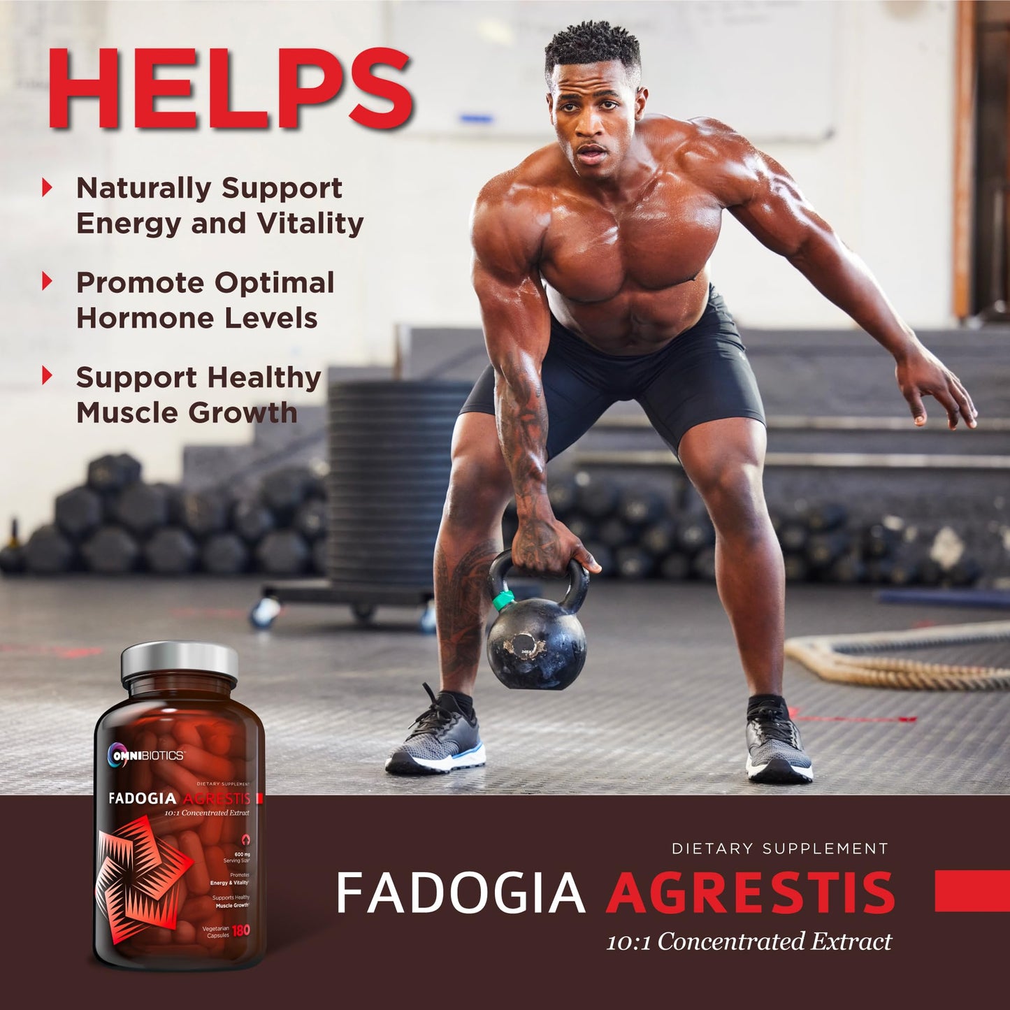 OmniBiotics Fadogia Agrestis 600mg Per Serving 10:1 Extract Capsule, 120 Count
