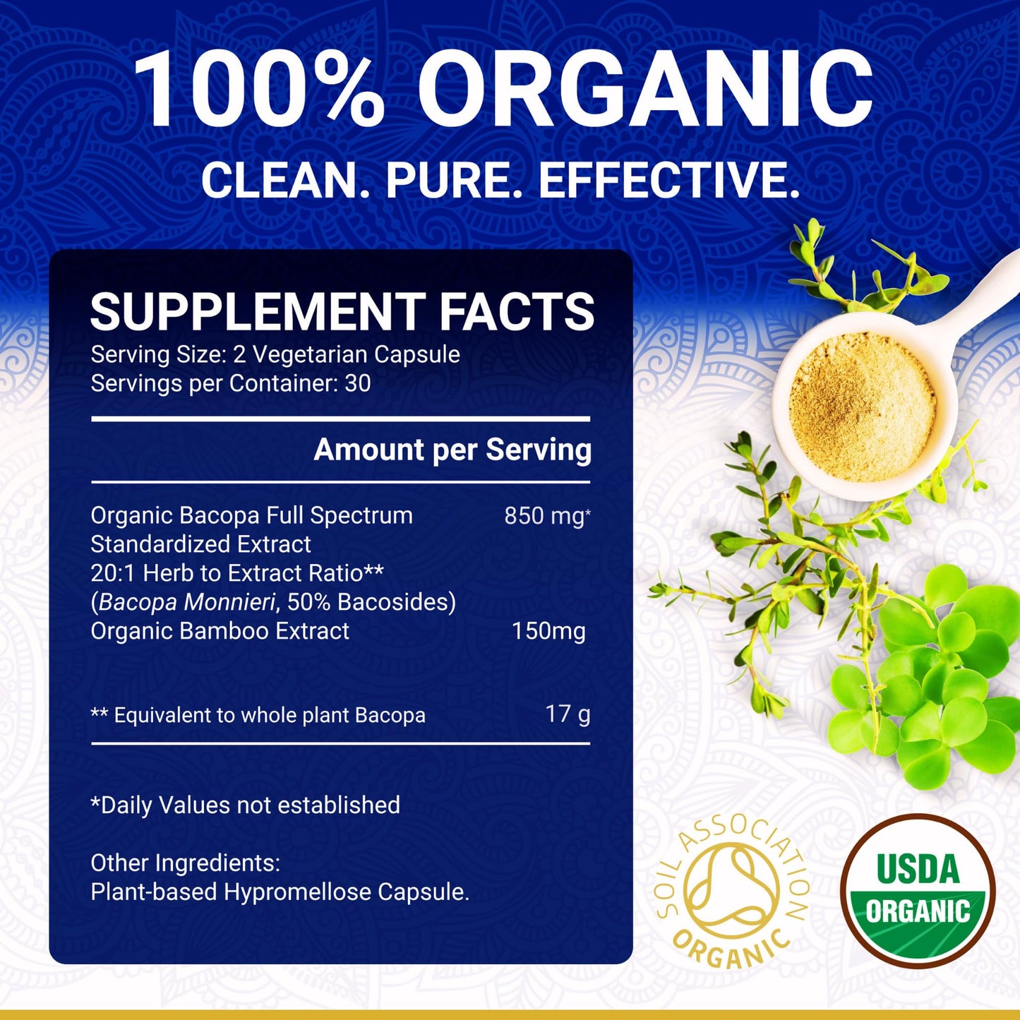 True Veda Bacopa Monnieri 20:1 Brahmi High Strength 50% Bacosides Capsules, 60 Count