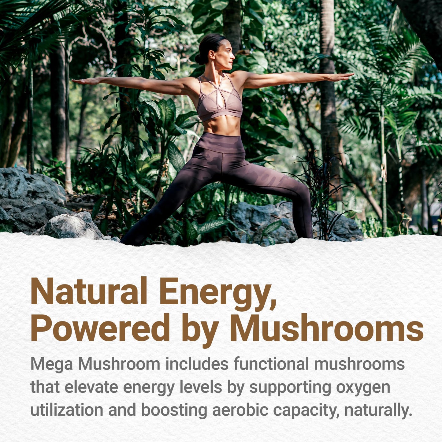 Procera Mega Mushroom 60 Capsules