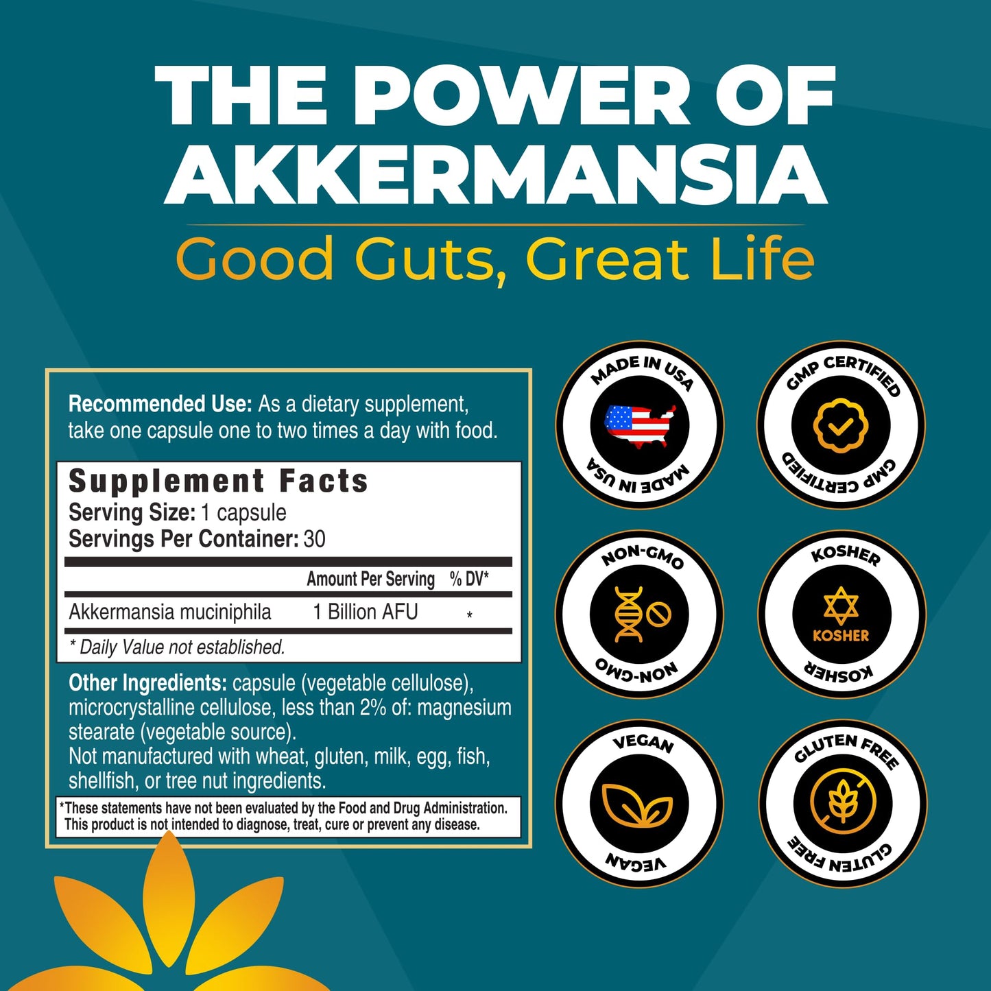 Vita Bloom Labs Akkermansia Probiotic Supplement Capsules 30 Count