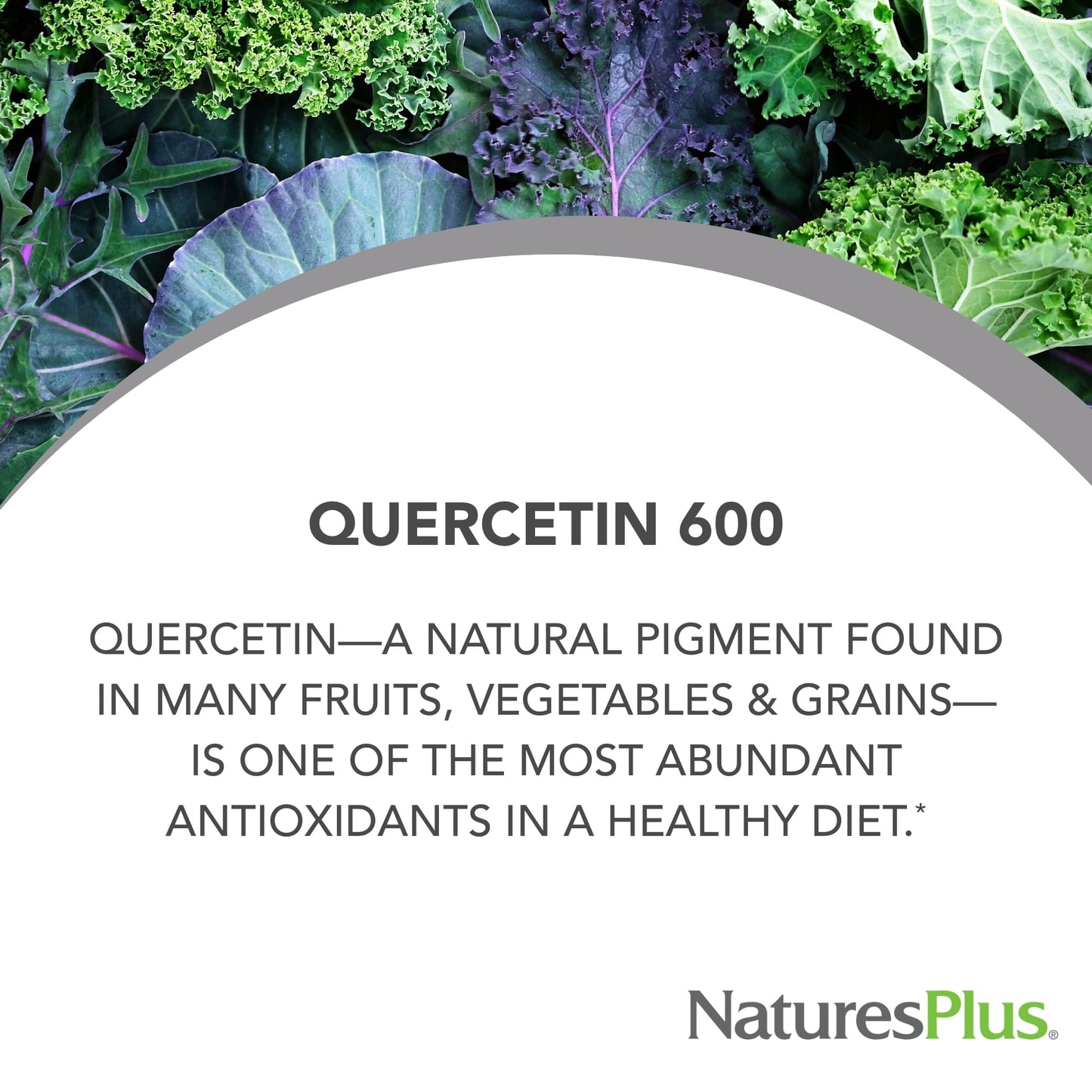 NaturesPlus PRO Quercetin 600 mg Tablets, 60 Count