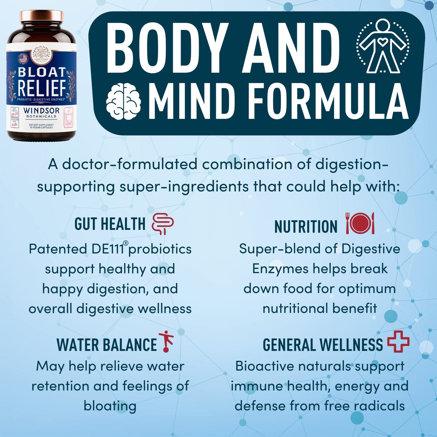 Windsor Botanicals Bloat Relief Probiotic and Digestive Enzymes Capsules 30