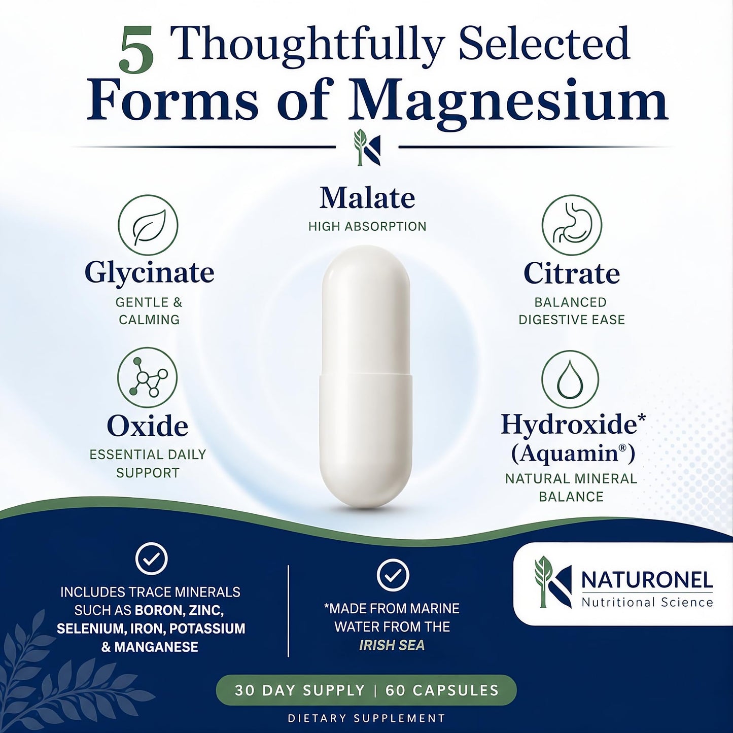 Naturonel Reacted Magnesium 500 mg Multi-Source Magnesium Complex Capsule, 60 Count