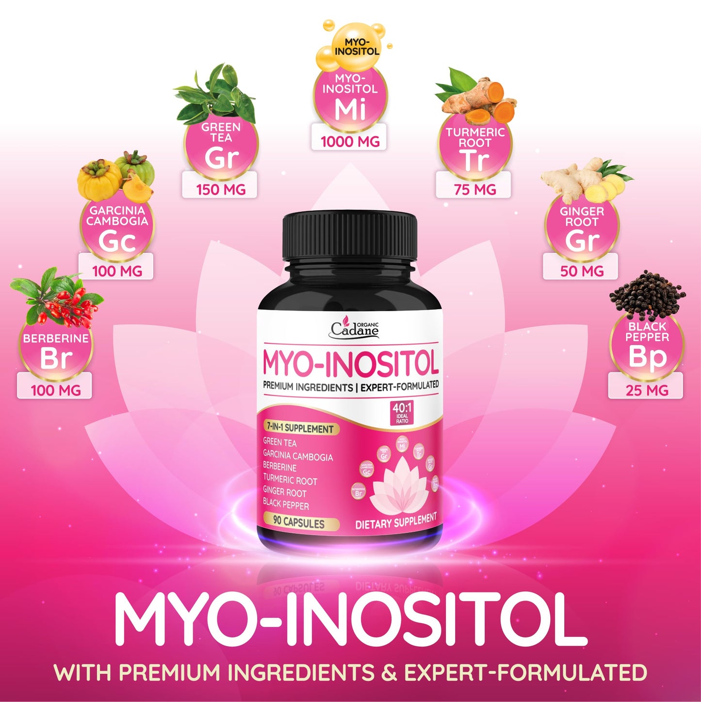 Organic Cadane Myo Inositol & Green Tea Capsules with Garcinia Cambogia, Berberine, Turmeric, Ginger, and Black Pepper, Vegan, Non-GMO, 90 Capsules