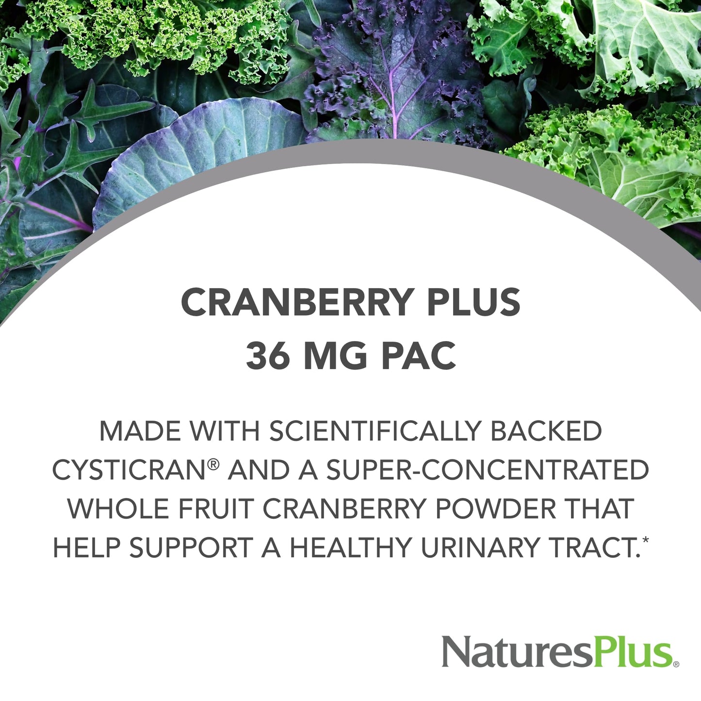 NaturesPlus PRO Cranberry Plus 60 Capsules