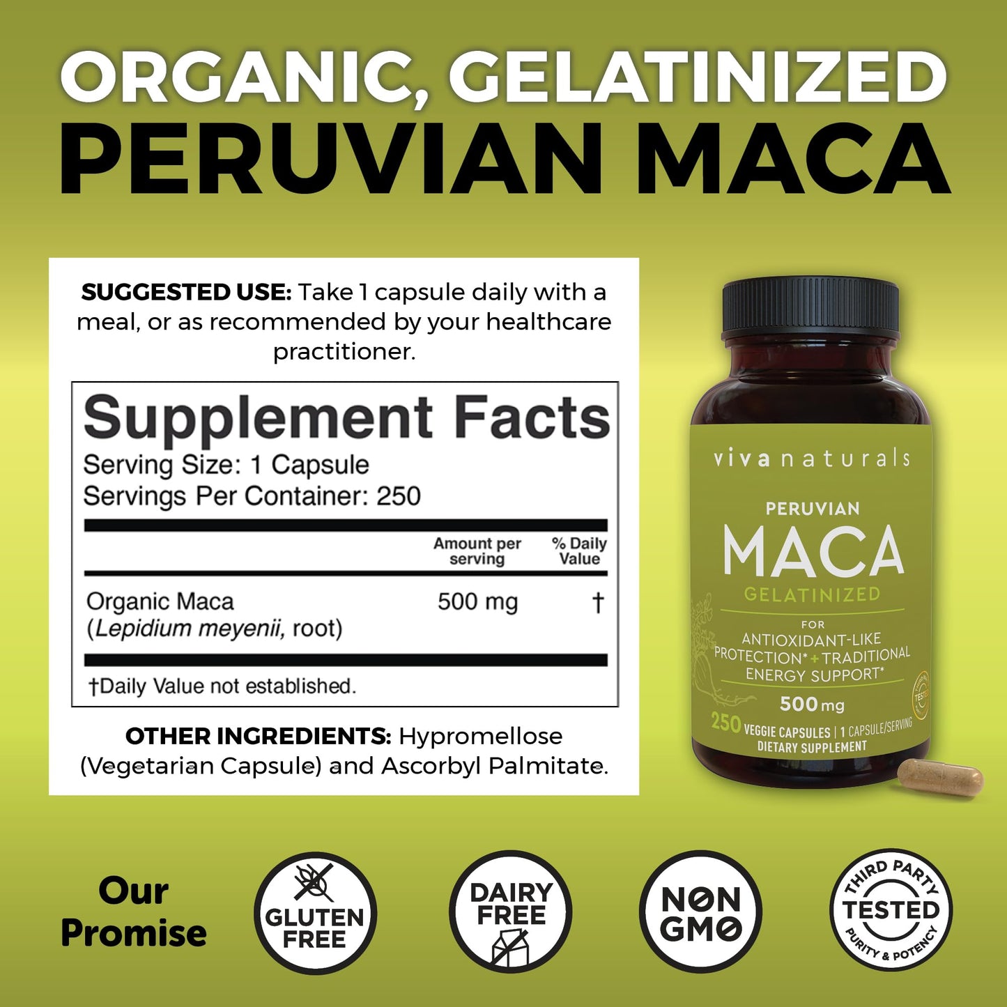 Viva Naturals Peruvian Maca Root Supplement 500mg Capsules 250 Count