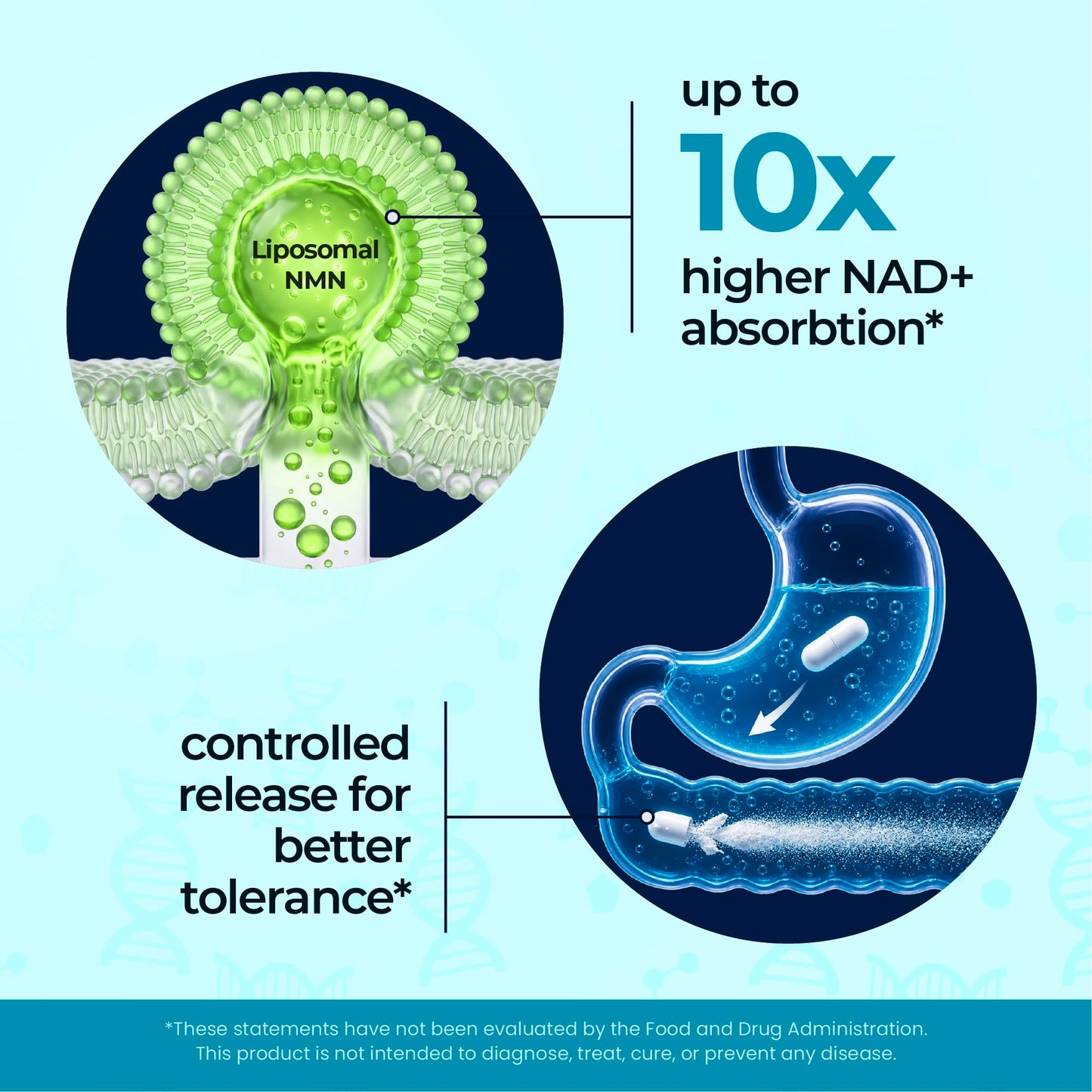 Fuel Liposomal NMN 750mg per Serving (500mg NMN + 250mg TMG) – Enhanced Absorption Nicotinamide Mononucleotide Supplement – NAD+ Support, 60 Capsules