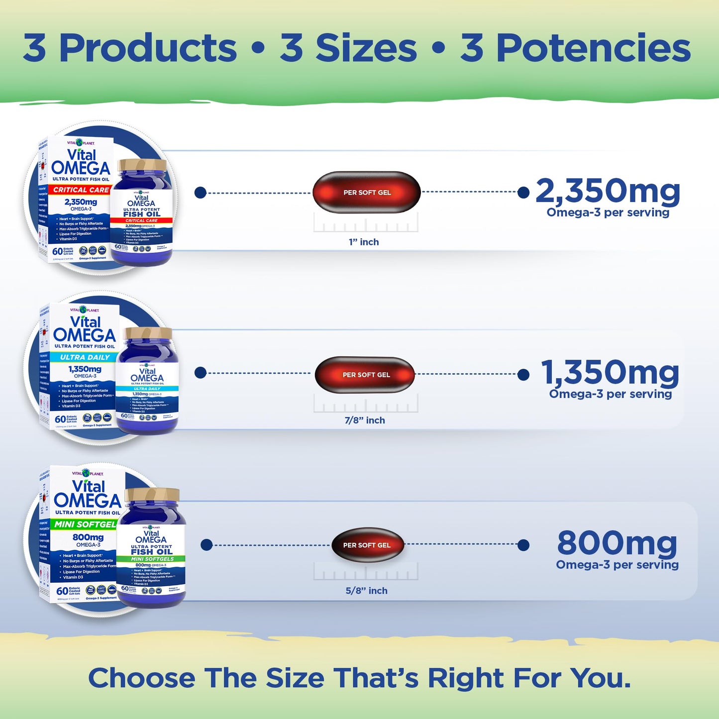 Vital Planet Vital Omega-3 Fish Oil Mini Softgels with 800mg Wild-Caught Omega-3s (EPA, DHA, and DPA) for Heart Health, 60 Softgels
