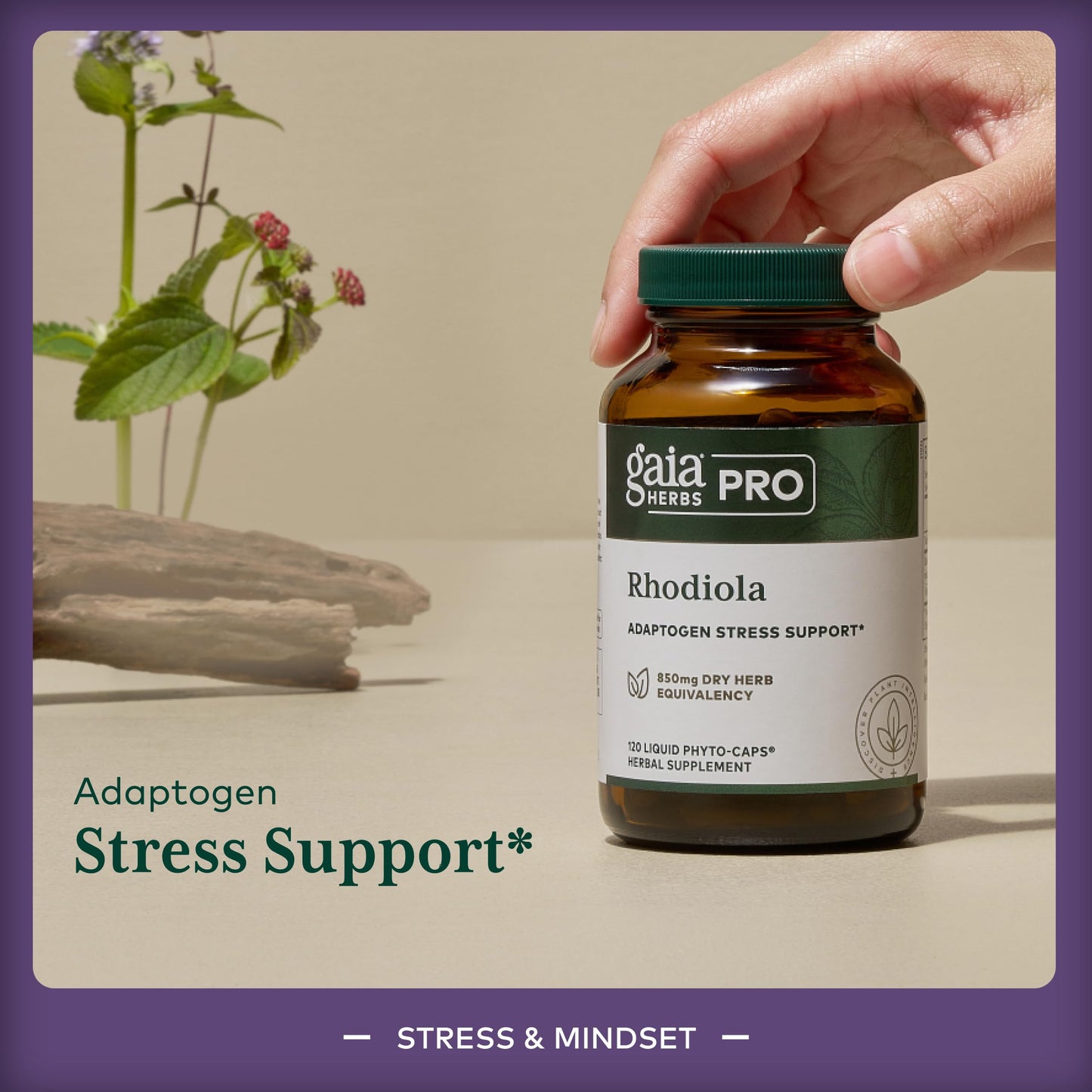 Gaia Herbs PRO Revive HPA Adrenal Health Support Supplement Capsules, 60 Count