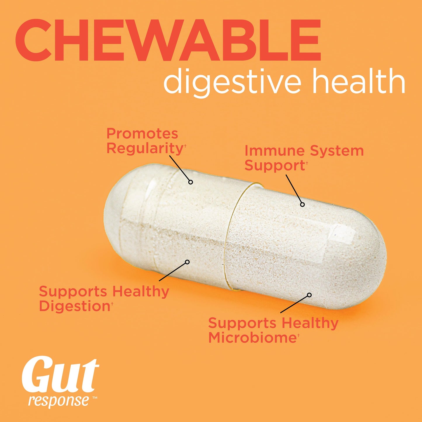 Gut Response Probiotic Chewable 30 Tablets